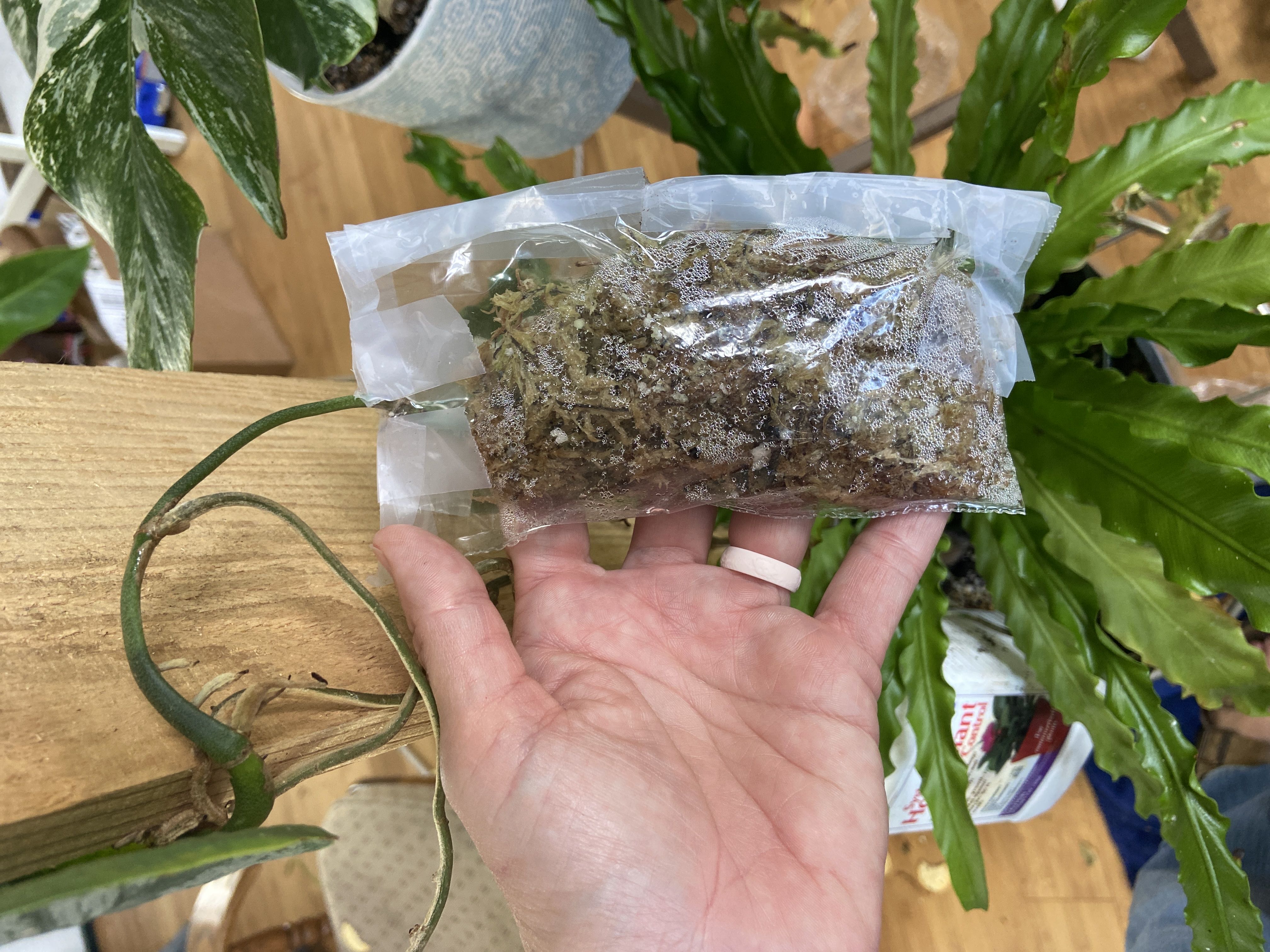 Photo from the post