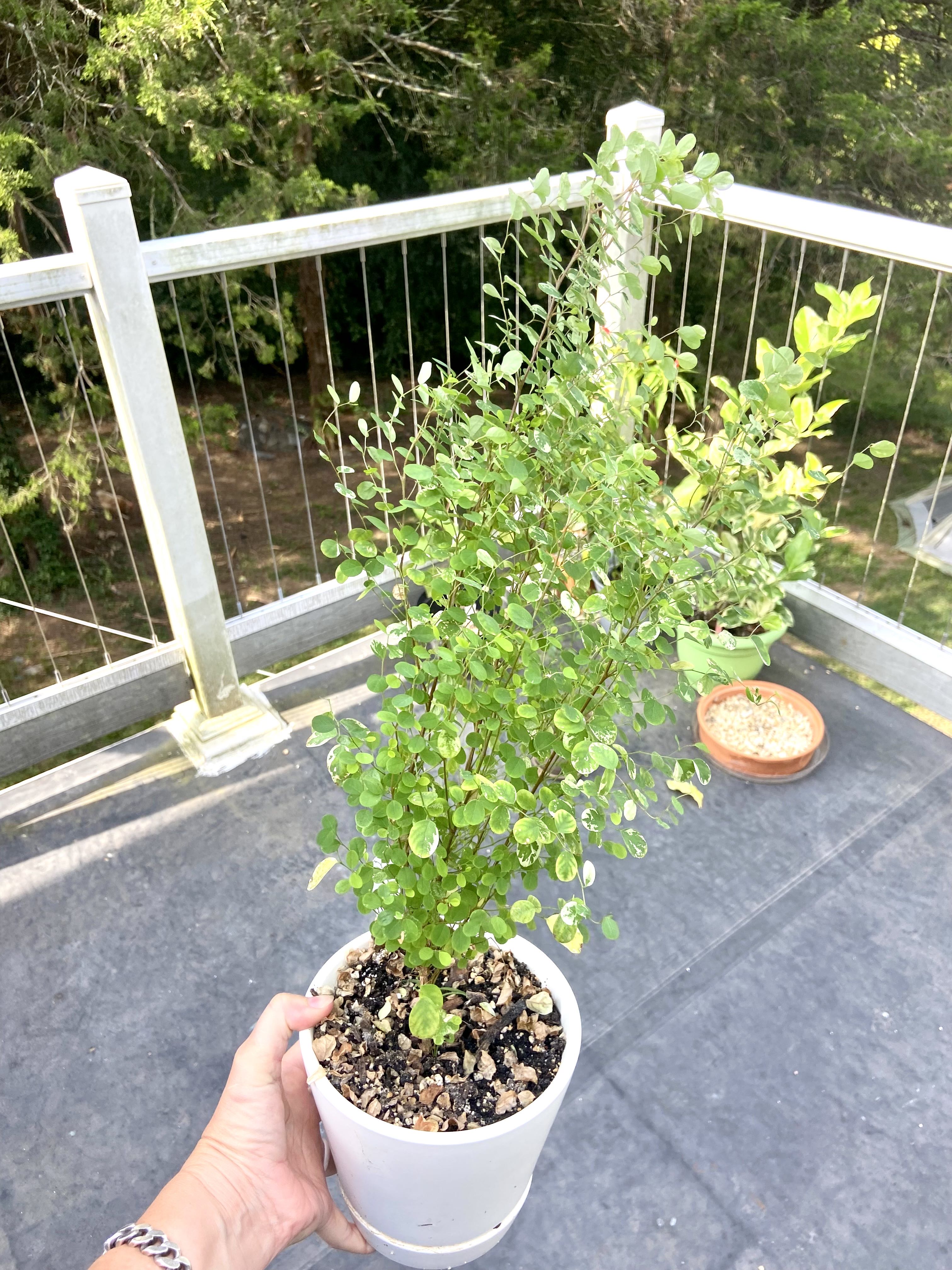Photo from the post