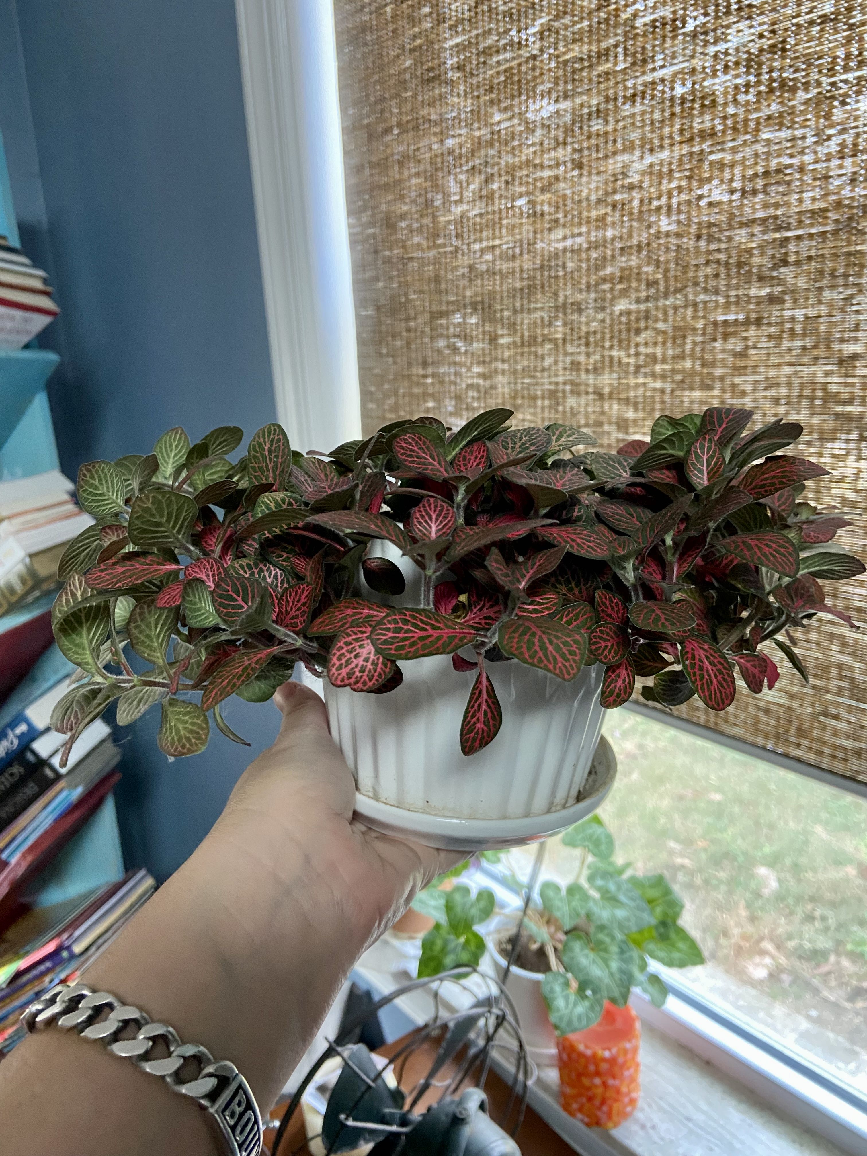 Photo from the post