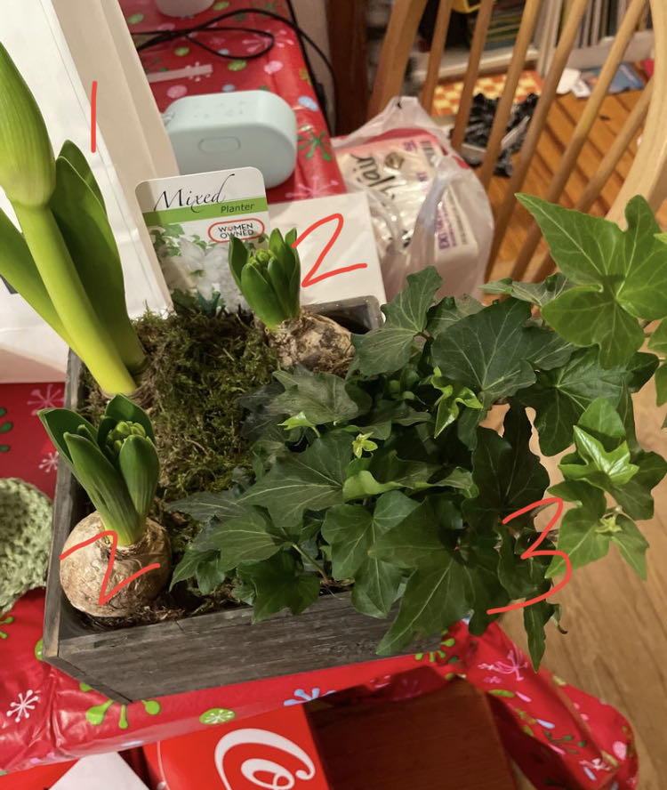 Photo from the post
