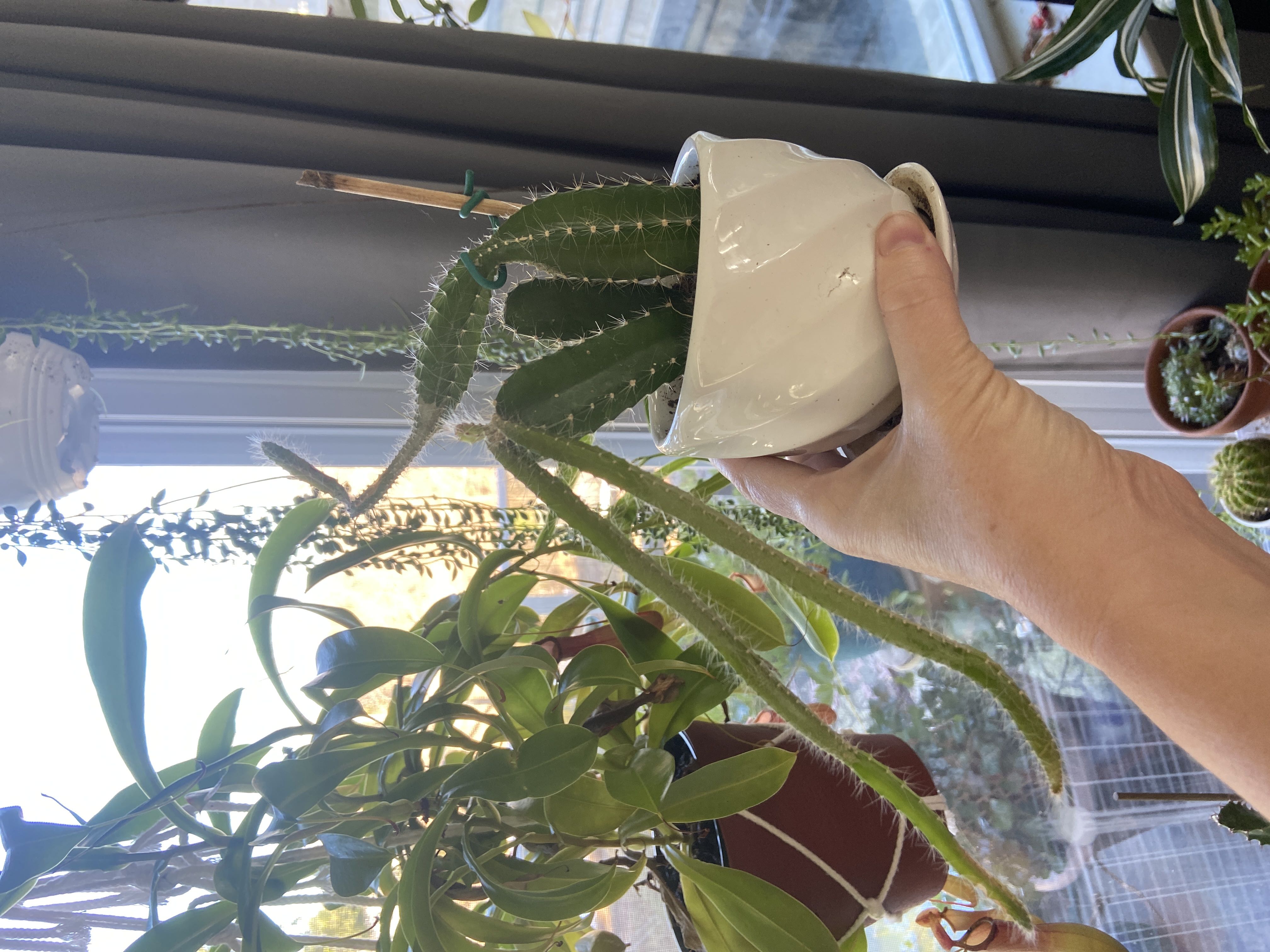 Photo from the post