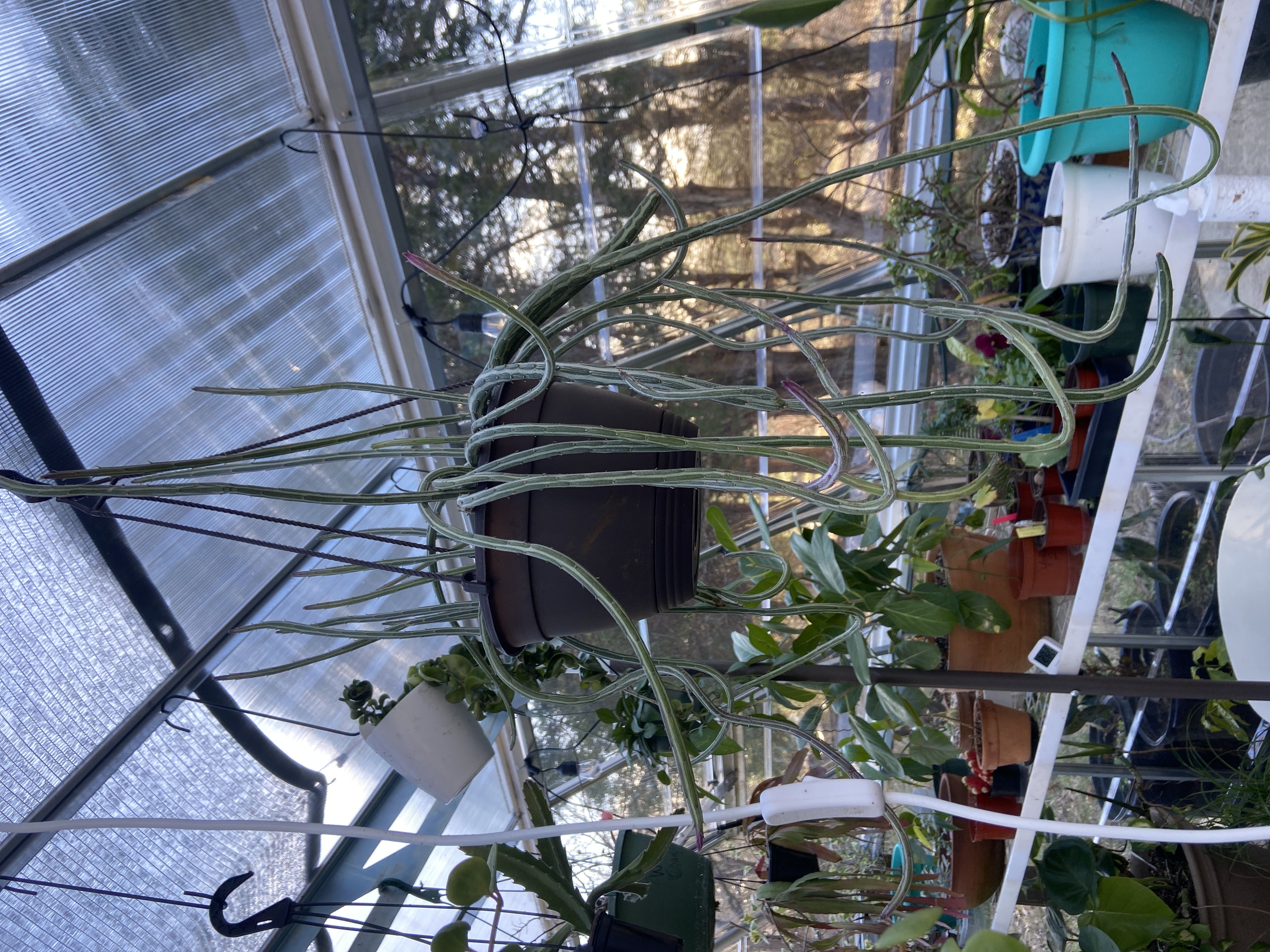 Photo from the post