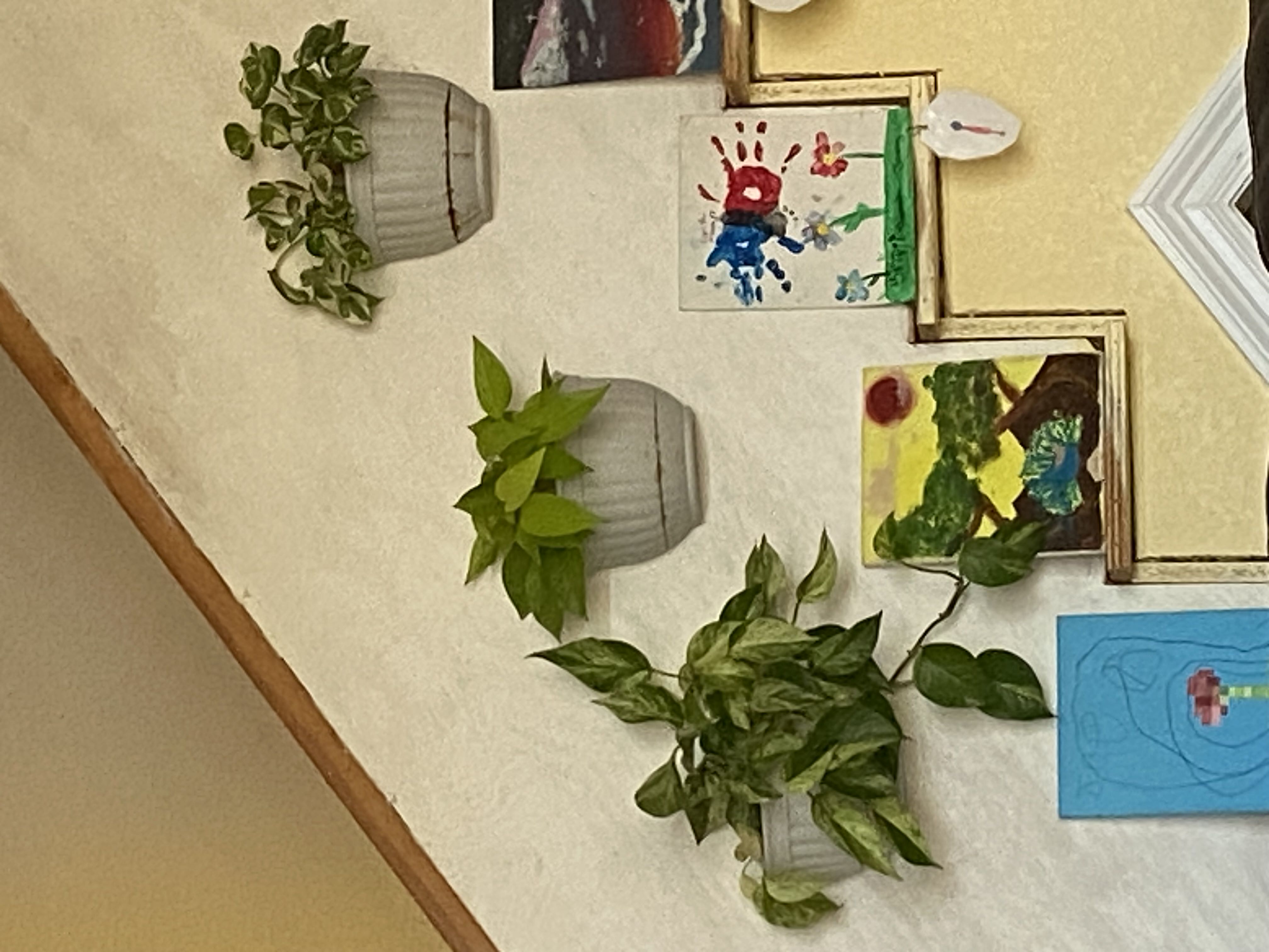Photo from the post