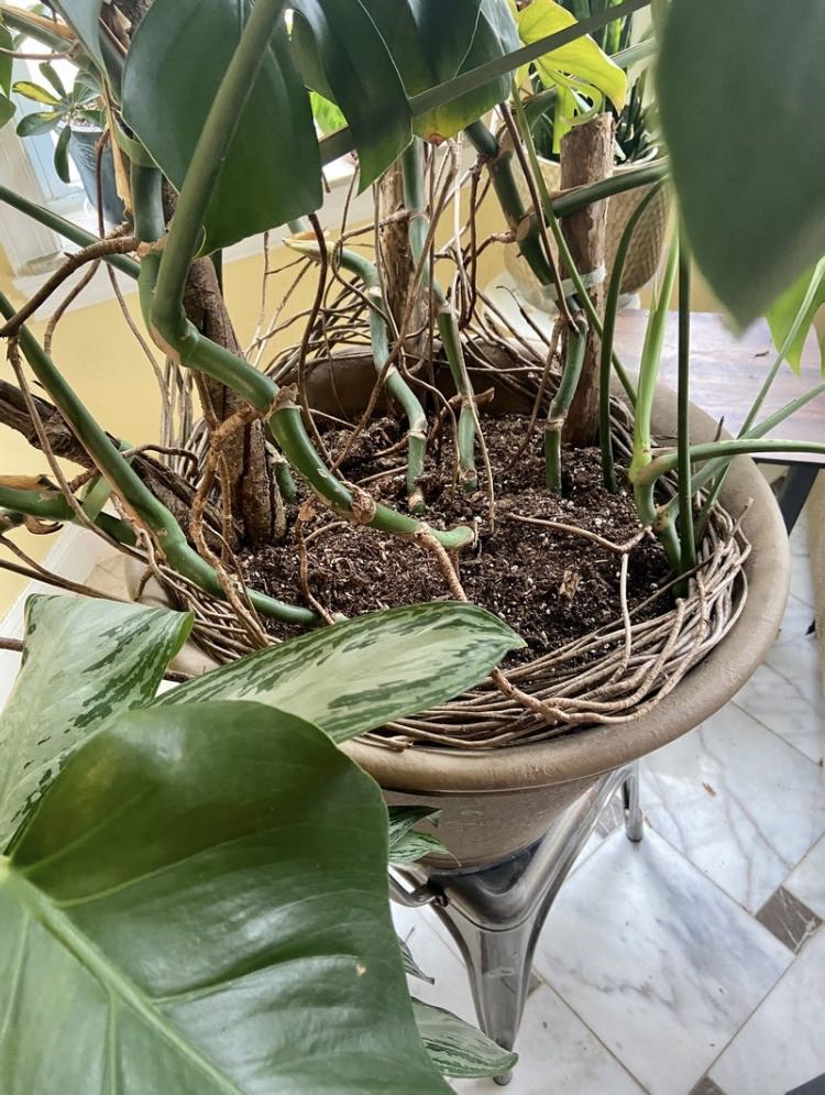 Photo from the post