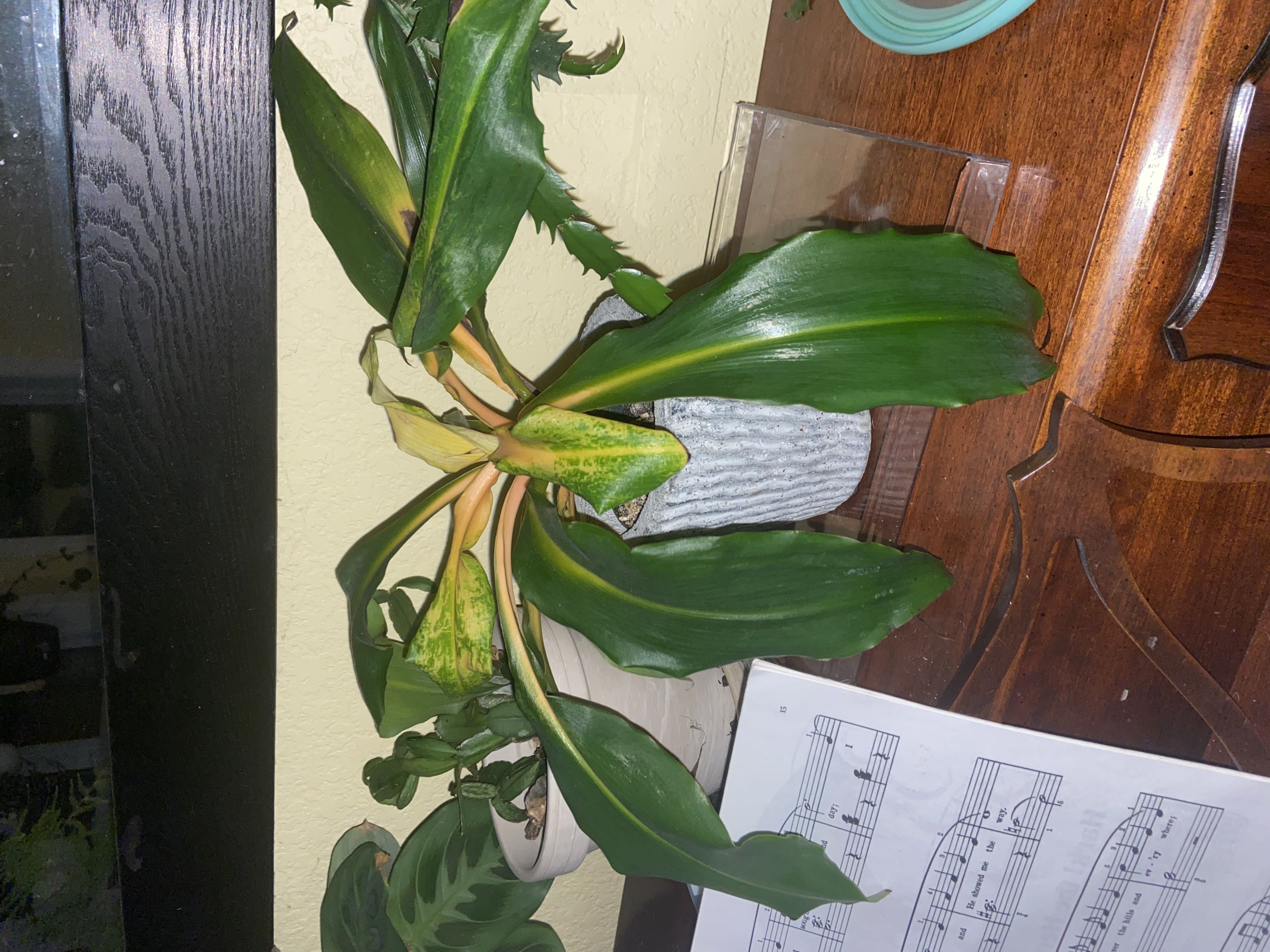 Photo from the post