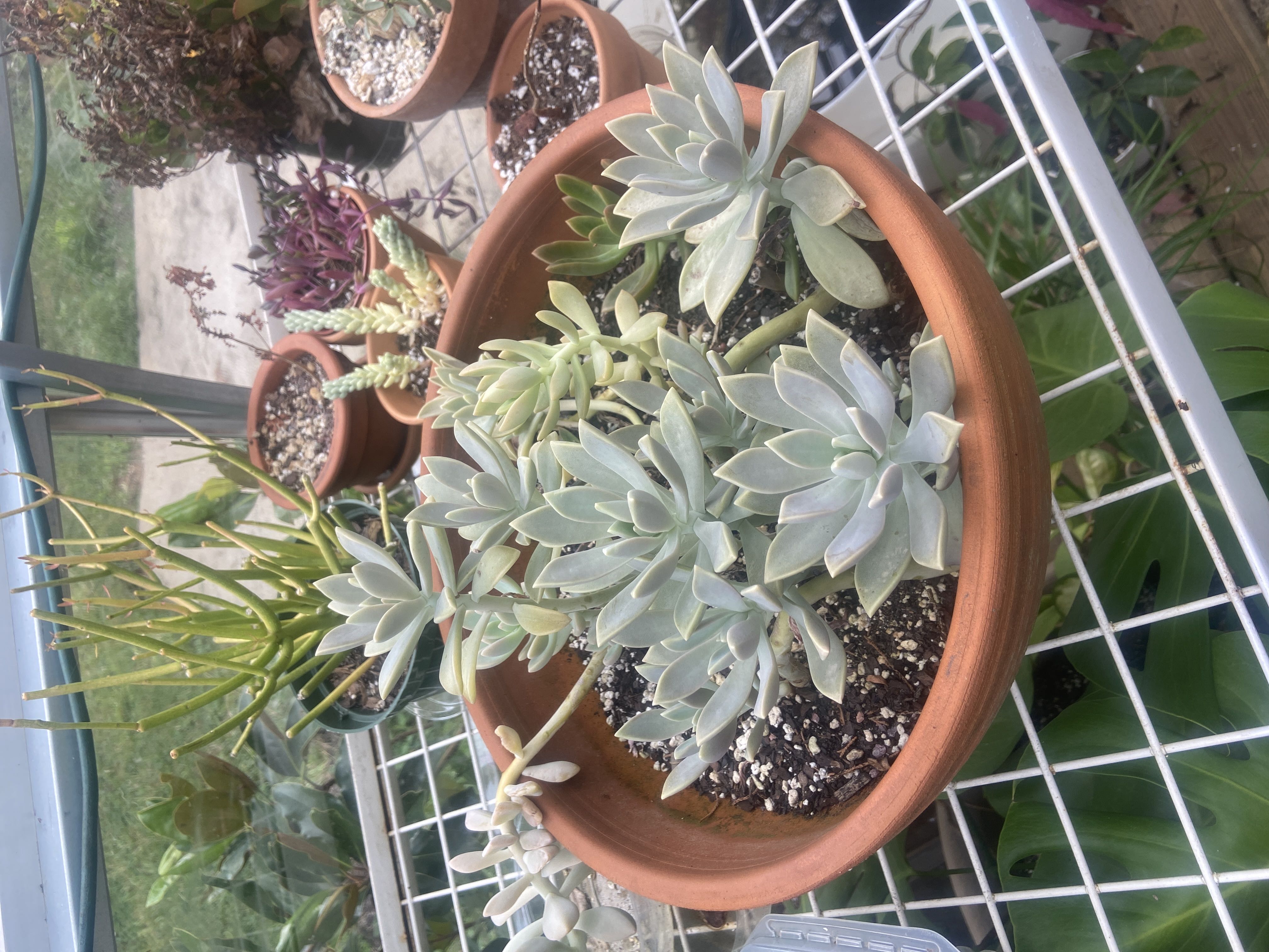 Photo from the post