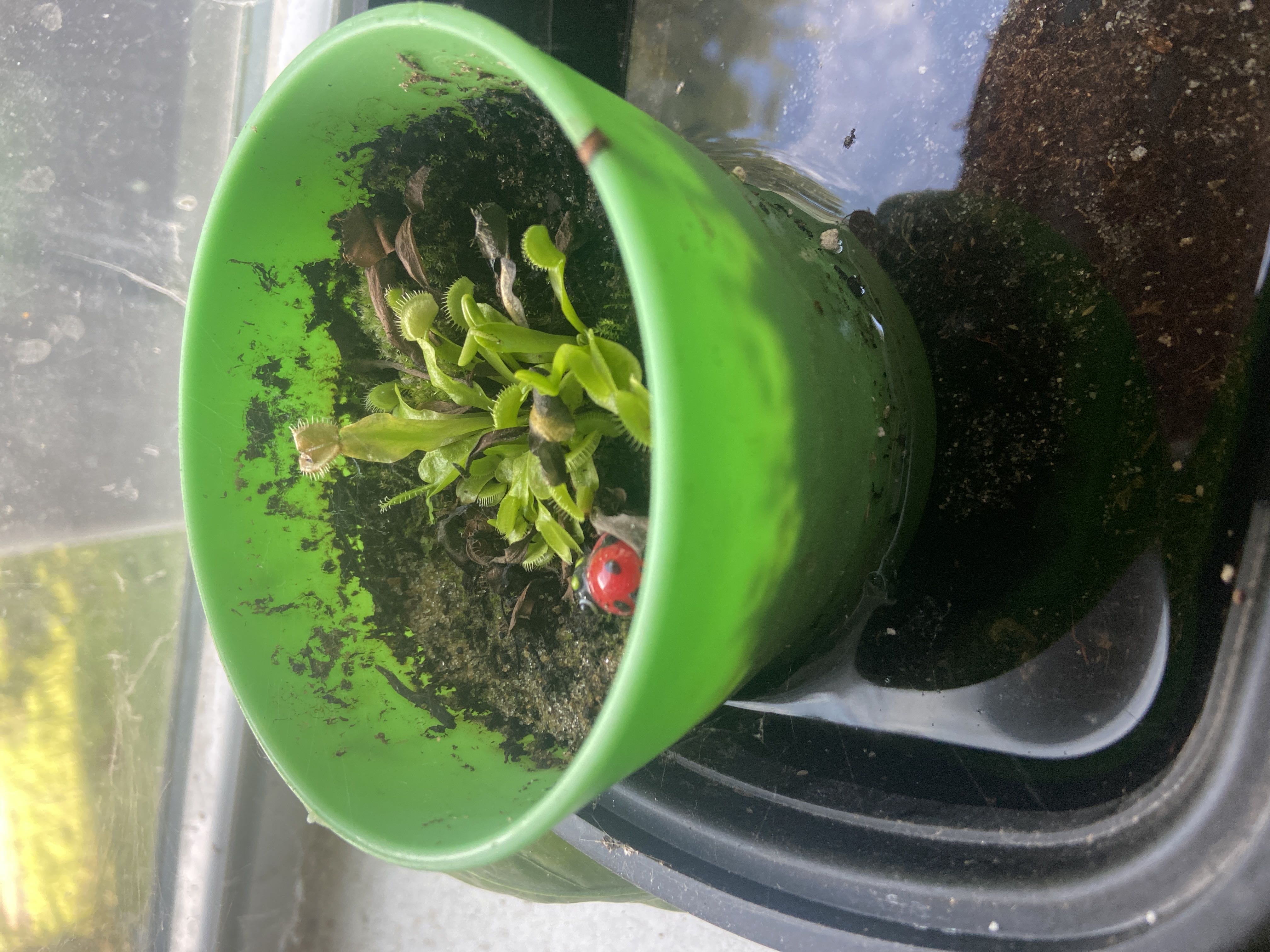 Photo from the post