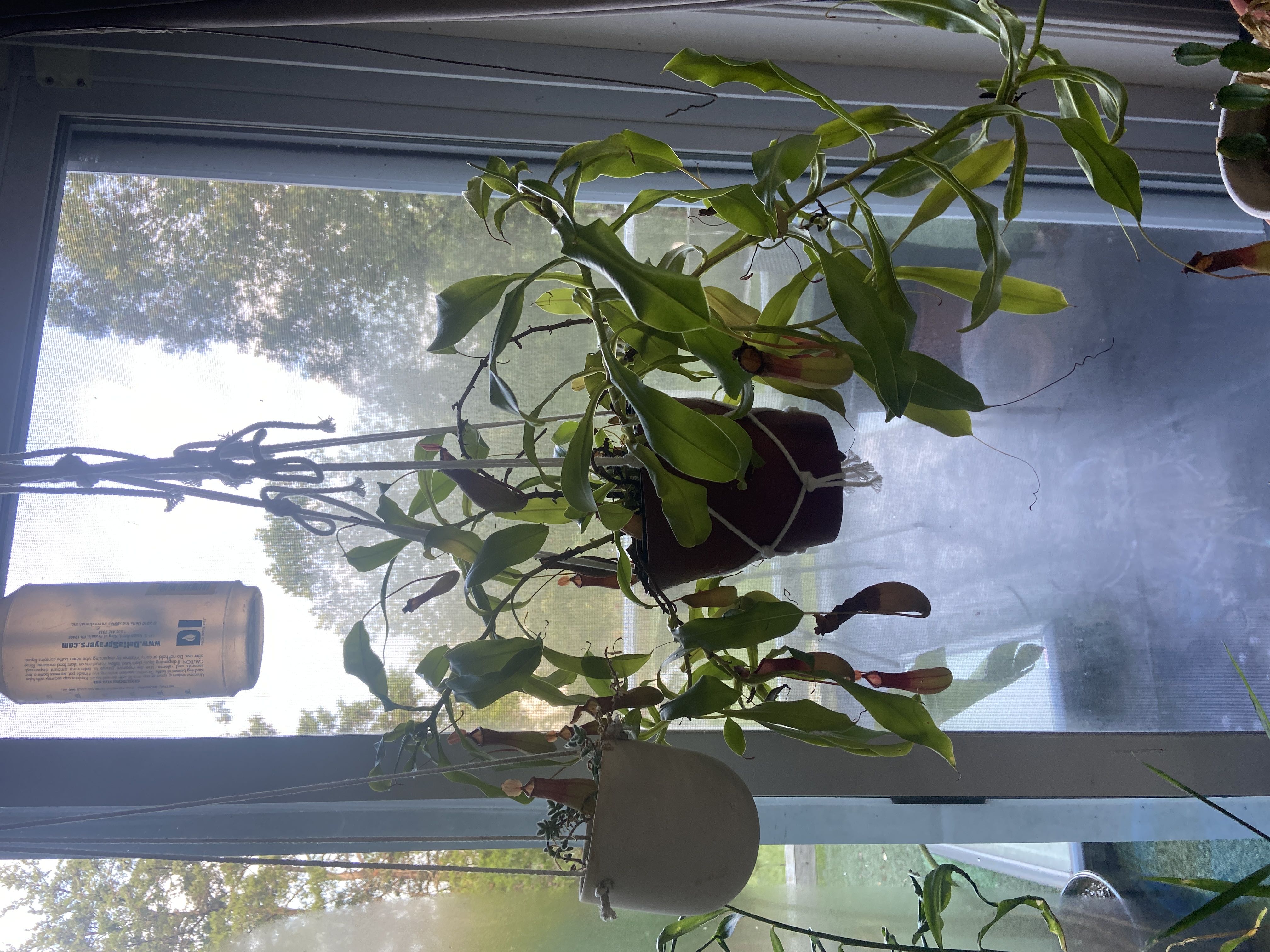 Photo from the post
