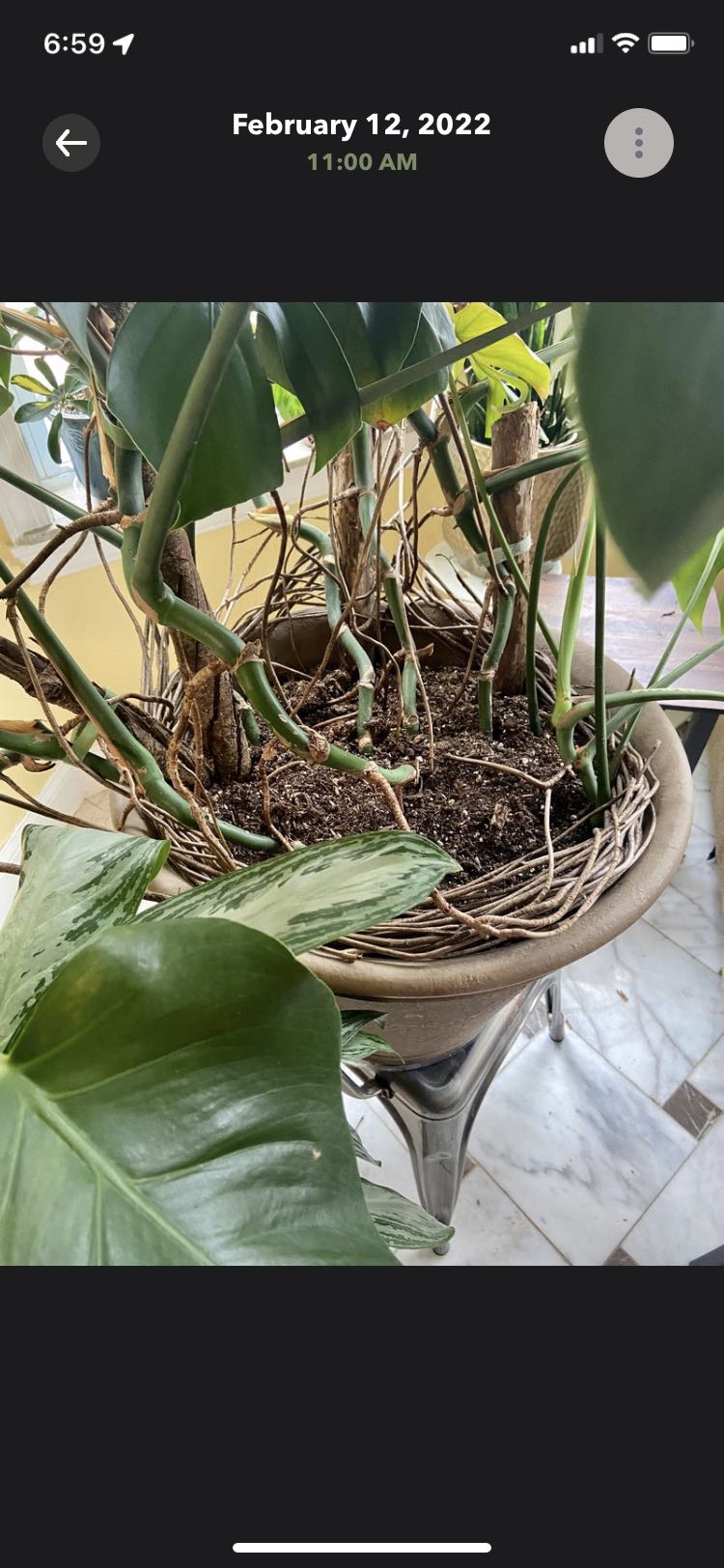Photo from the post