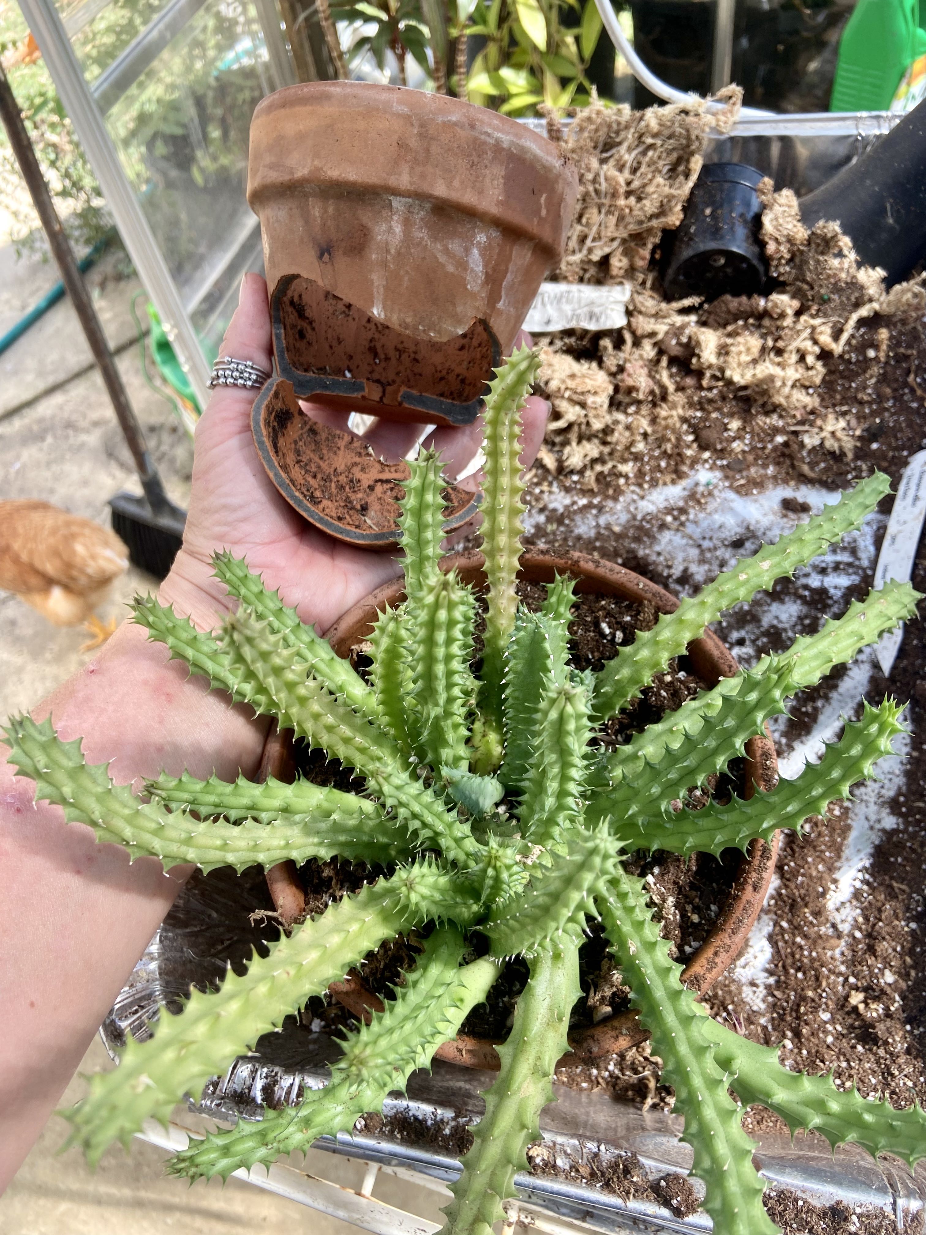 Photo from the post