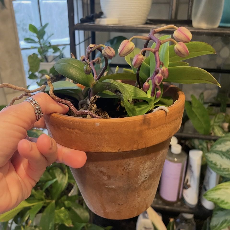 Photo from the post