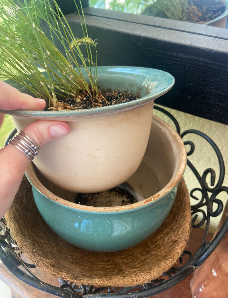 Photo from the post