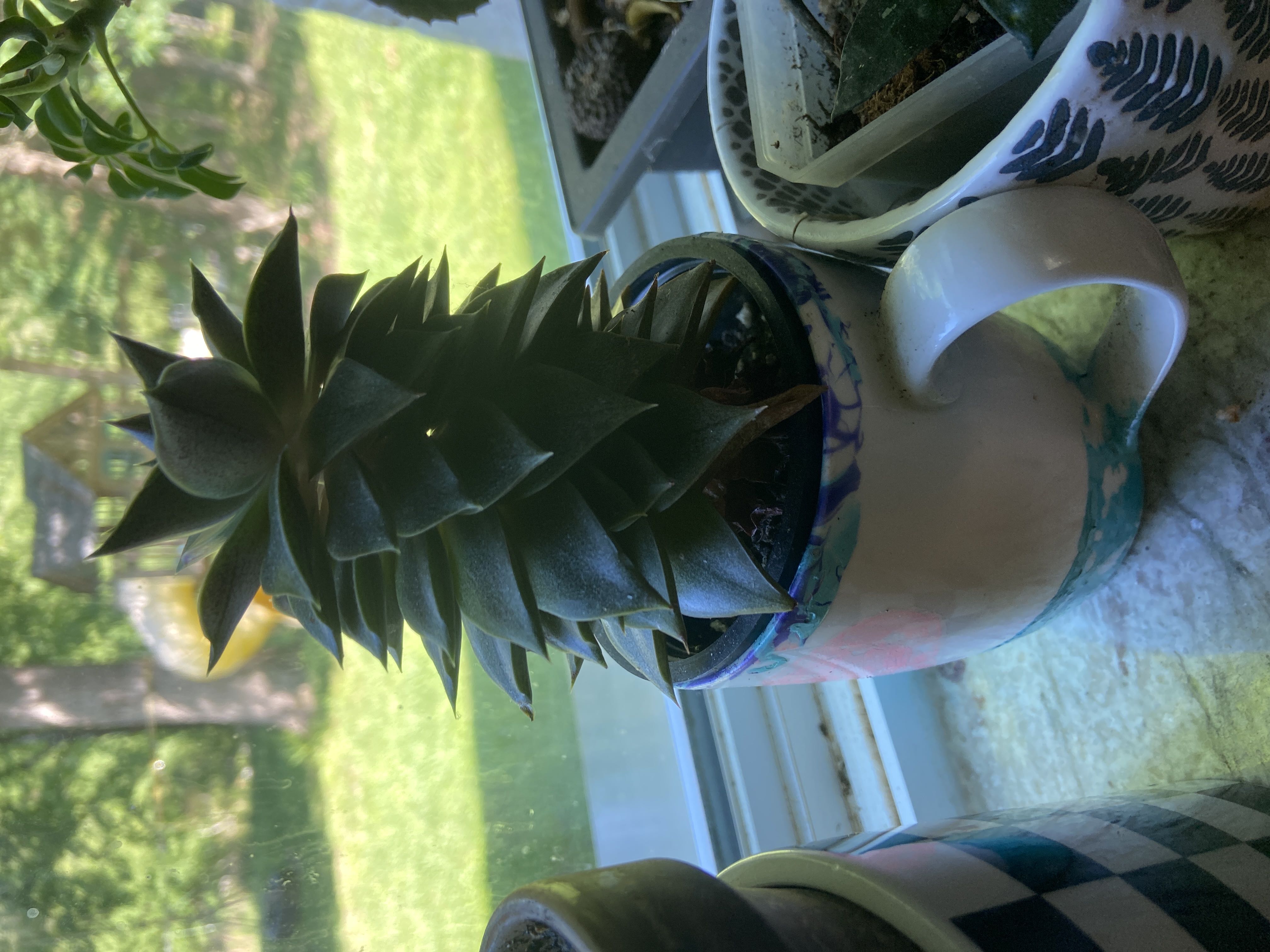 Photo from the post