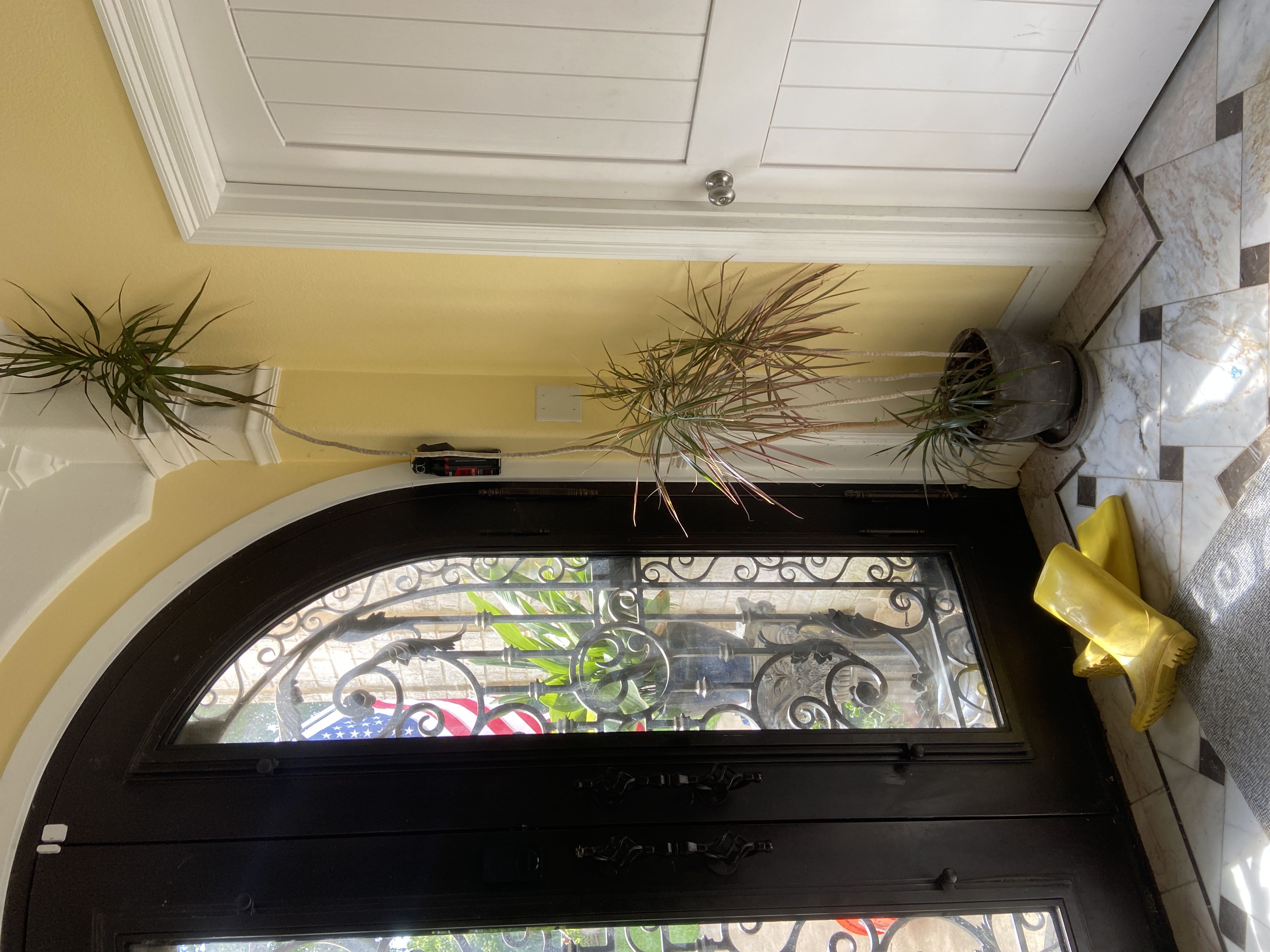 Photo from the post