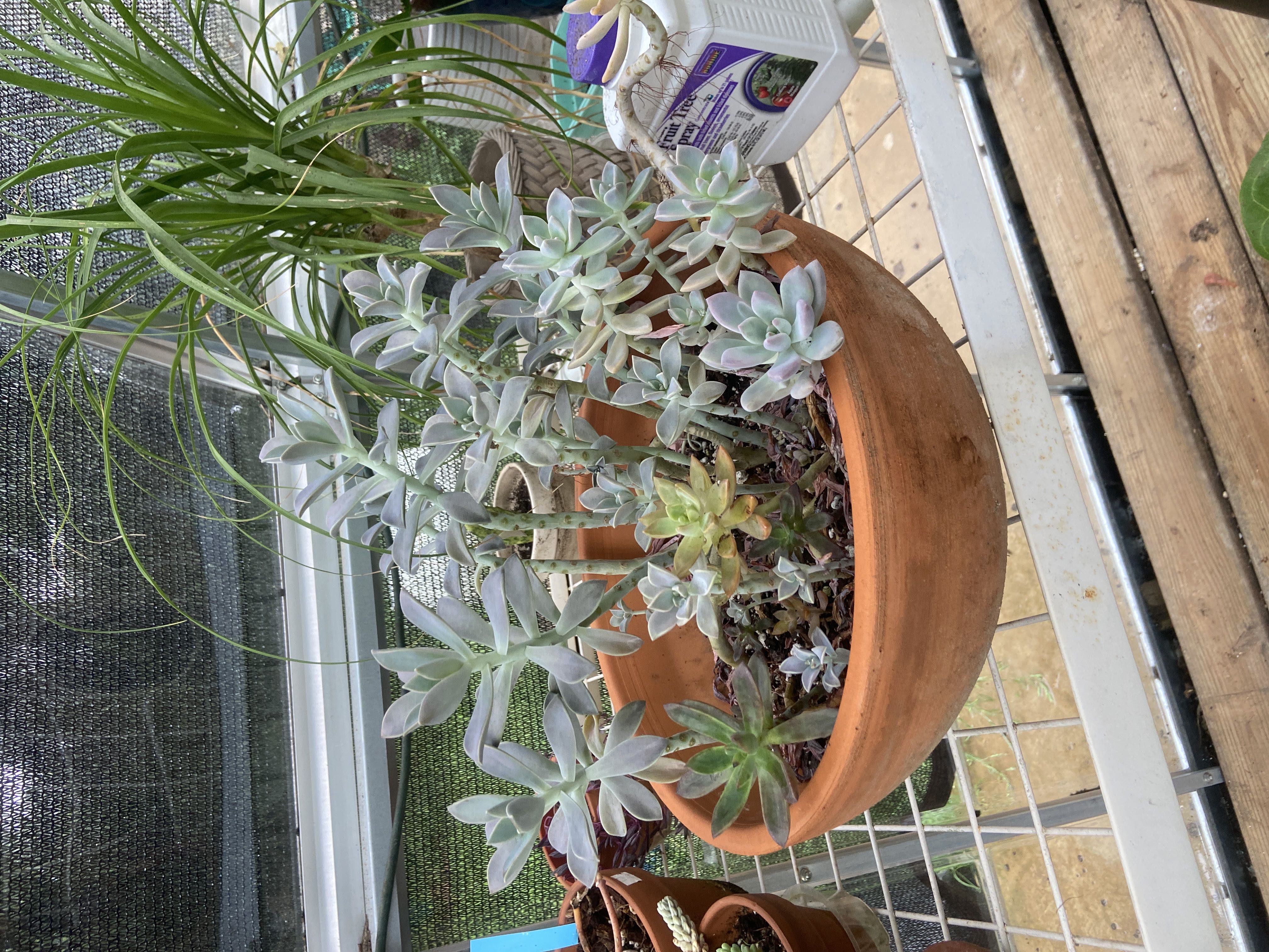 Photo from the post