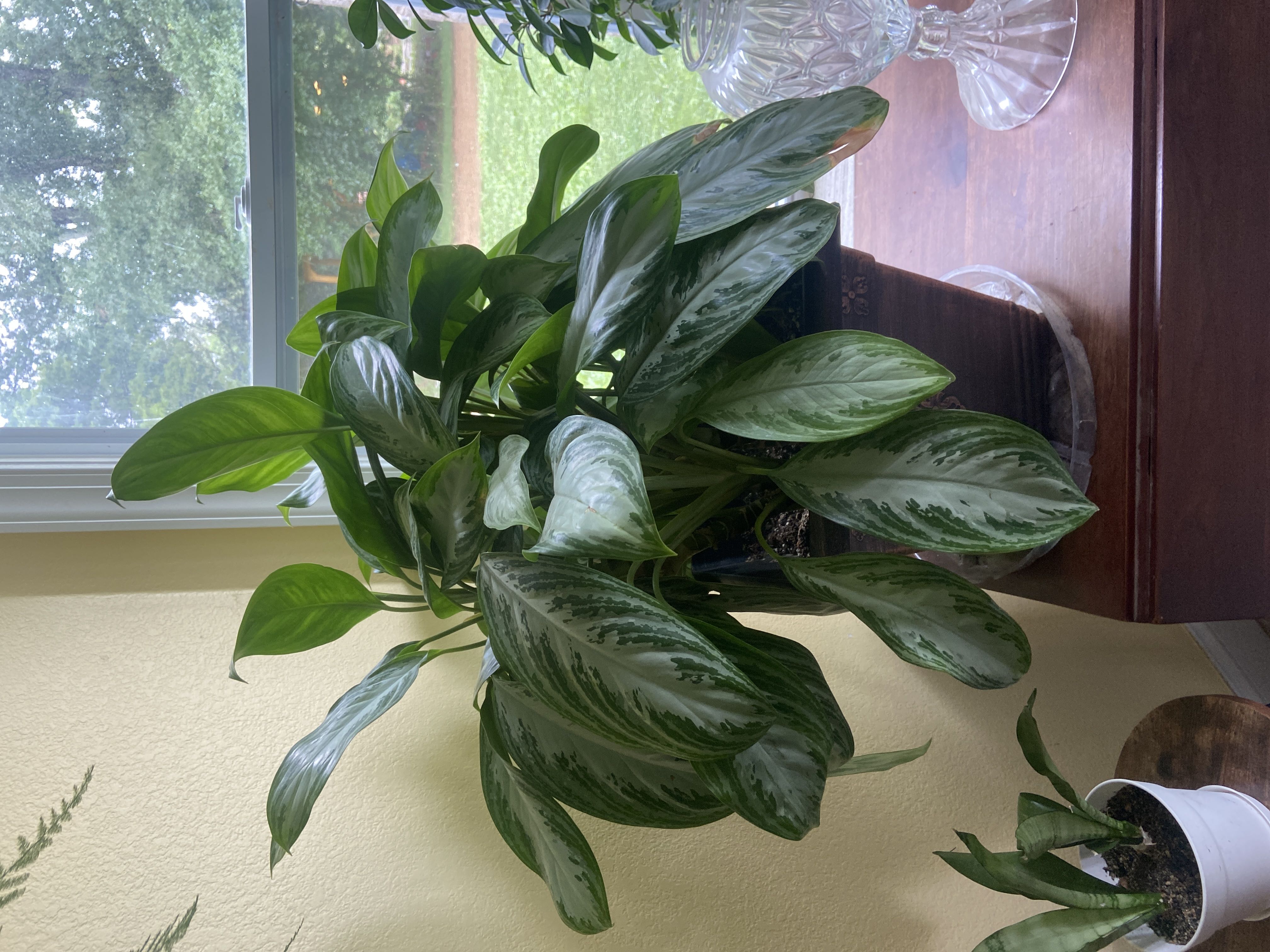 Photo from the post