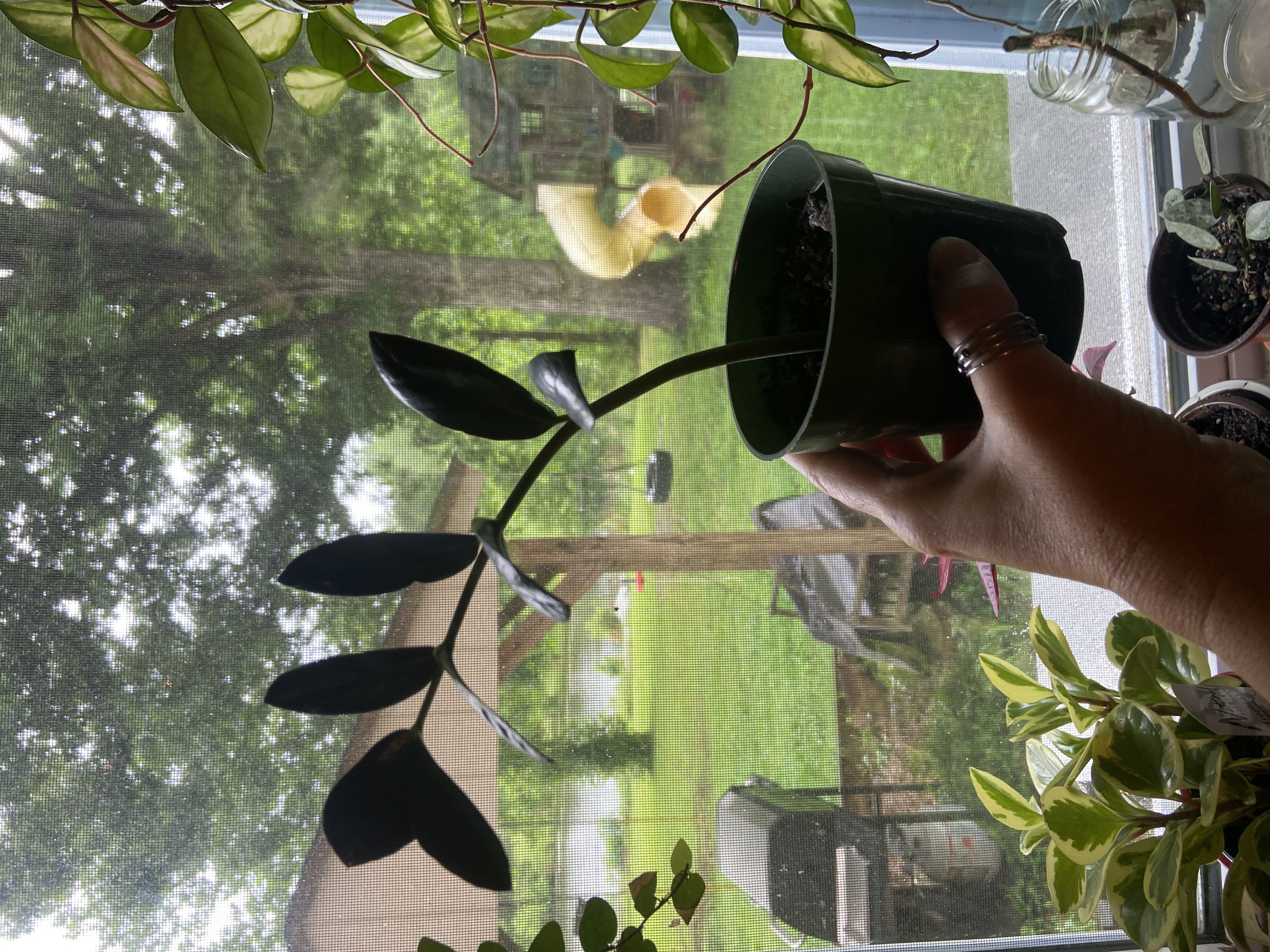 Photo from the post
