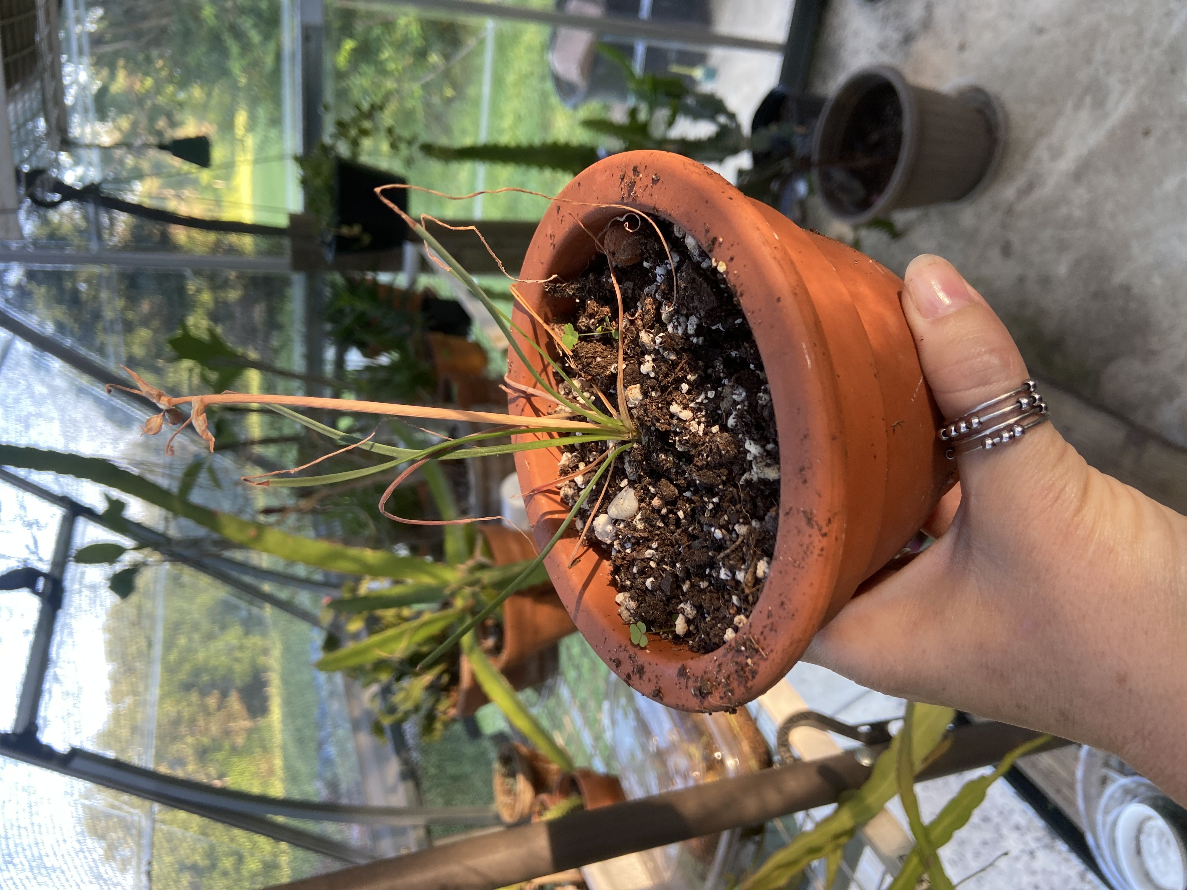 Photo from the post