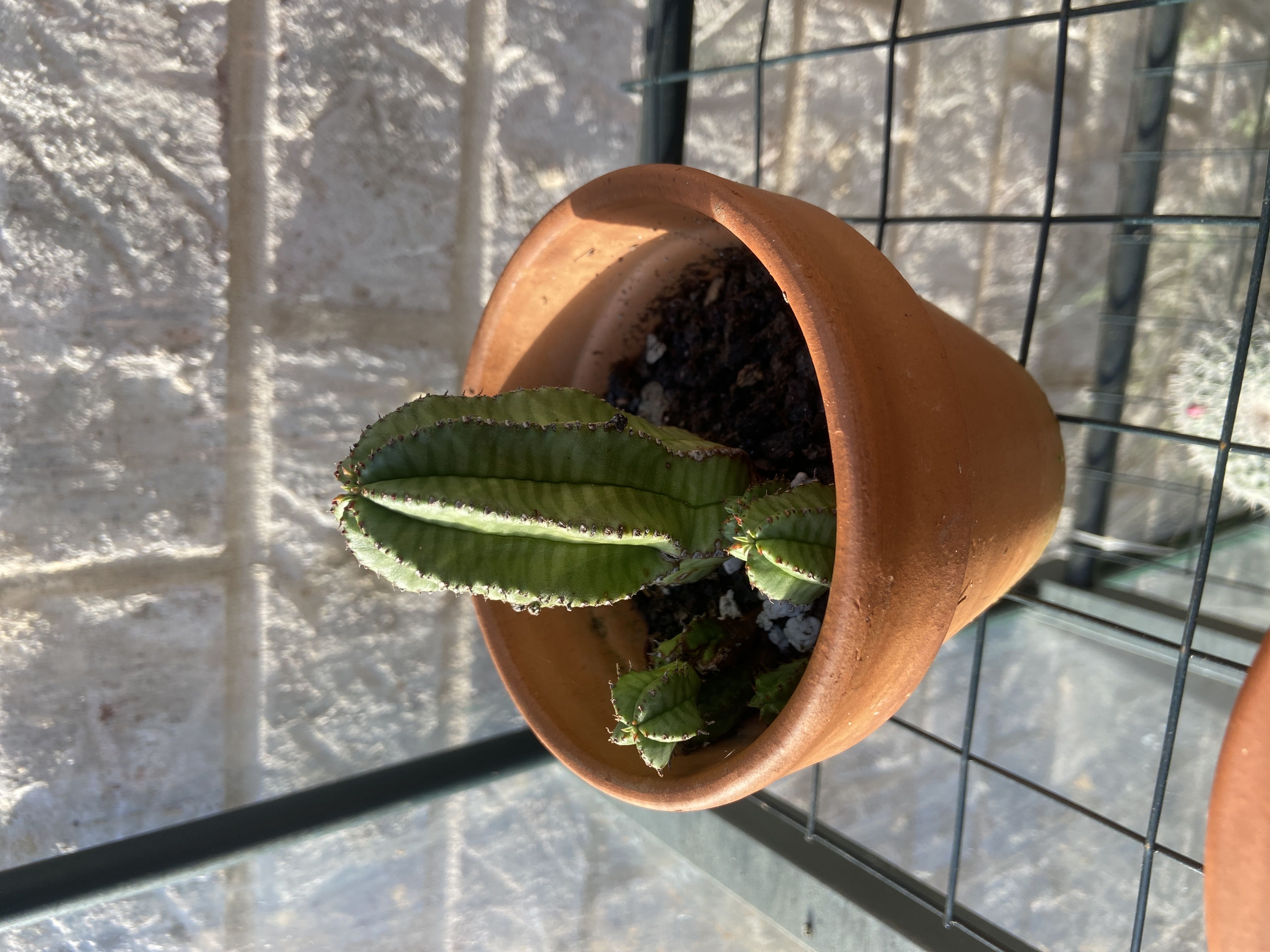Photo from the post
