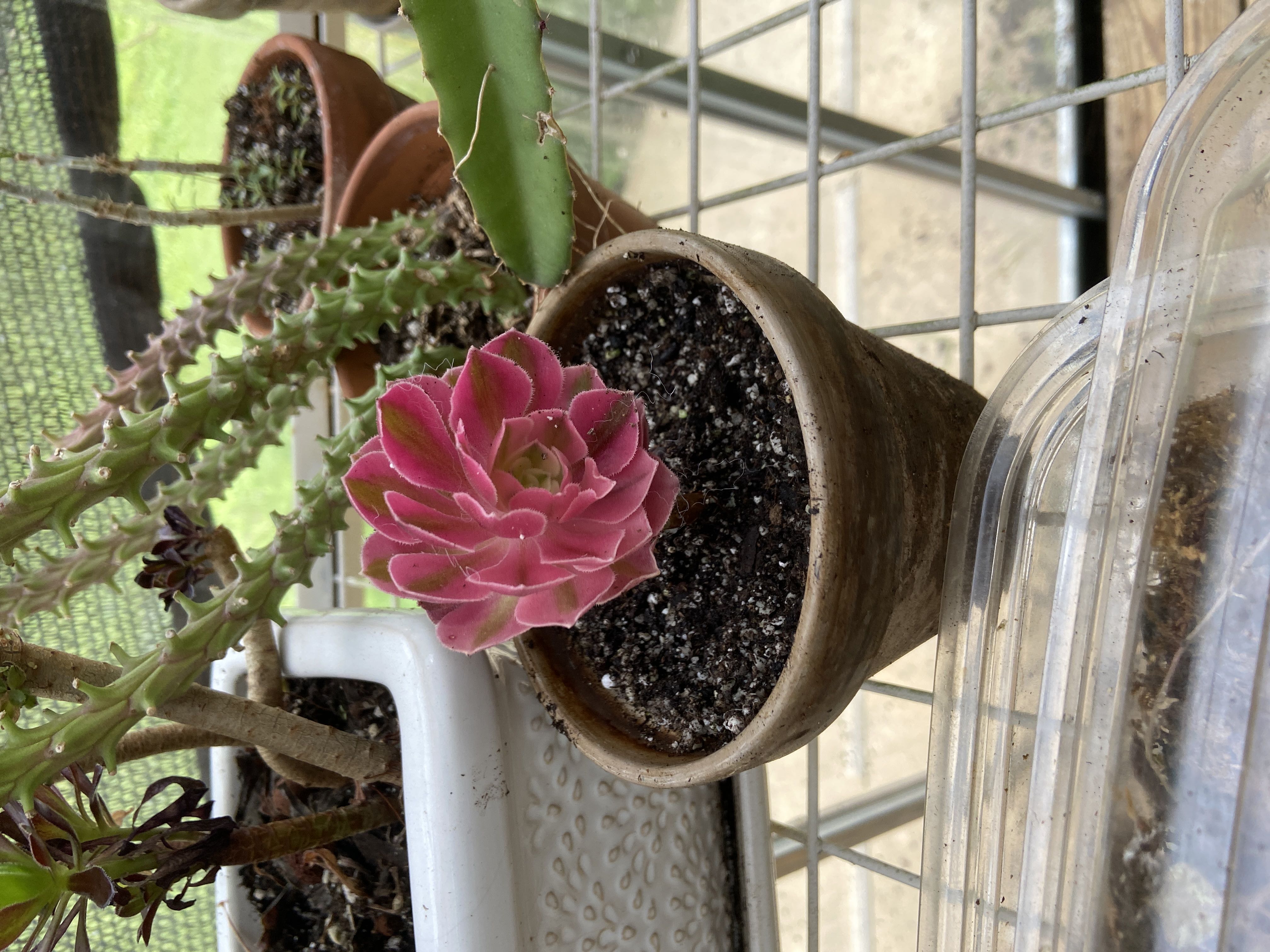 Photo from the post