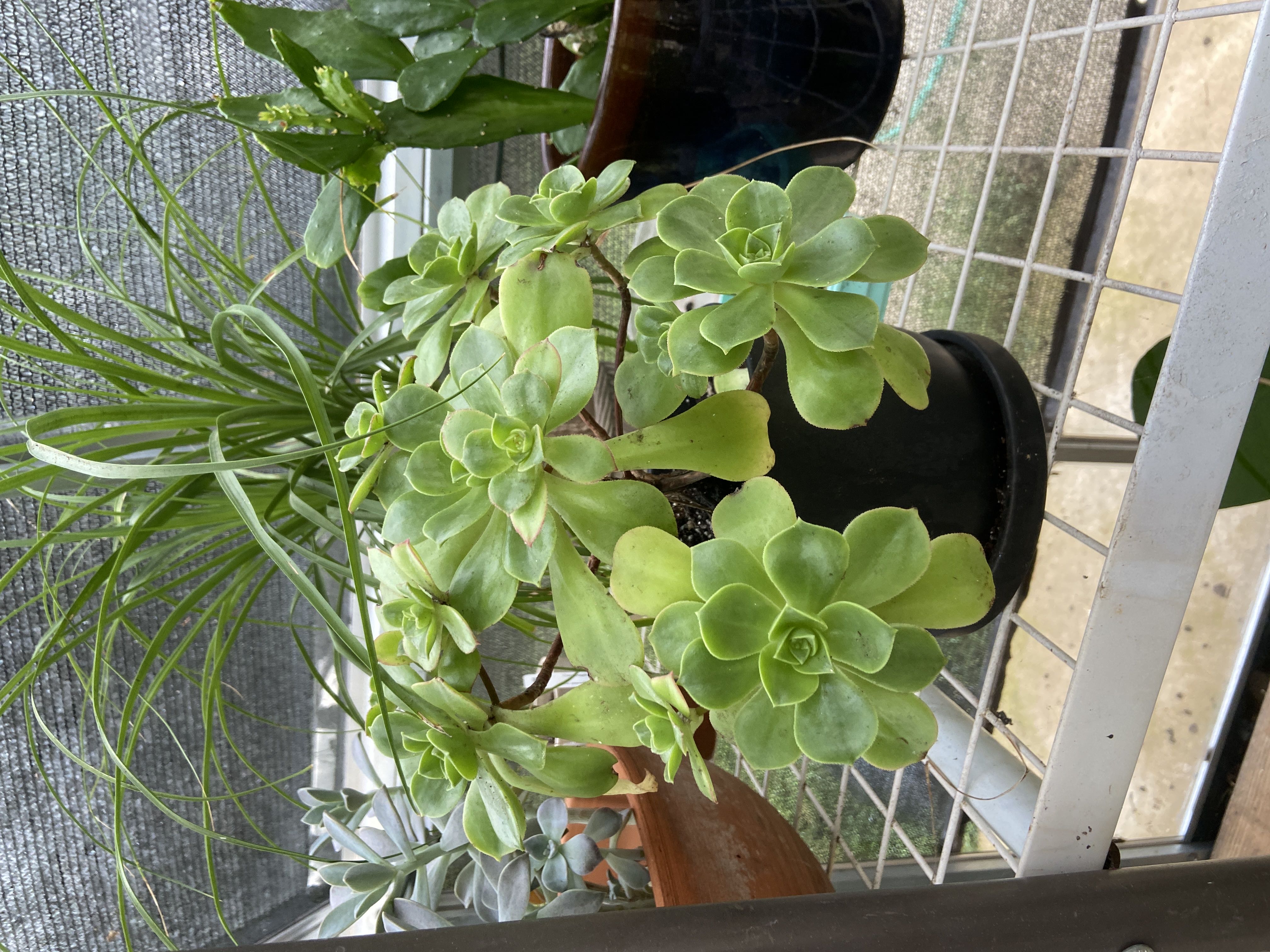 Photo from the post