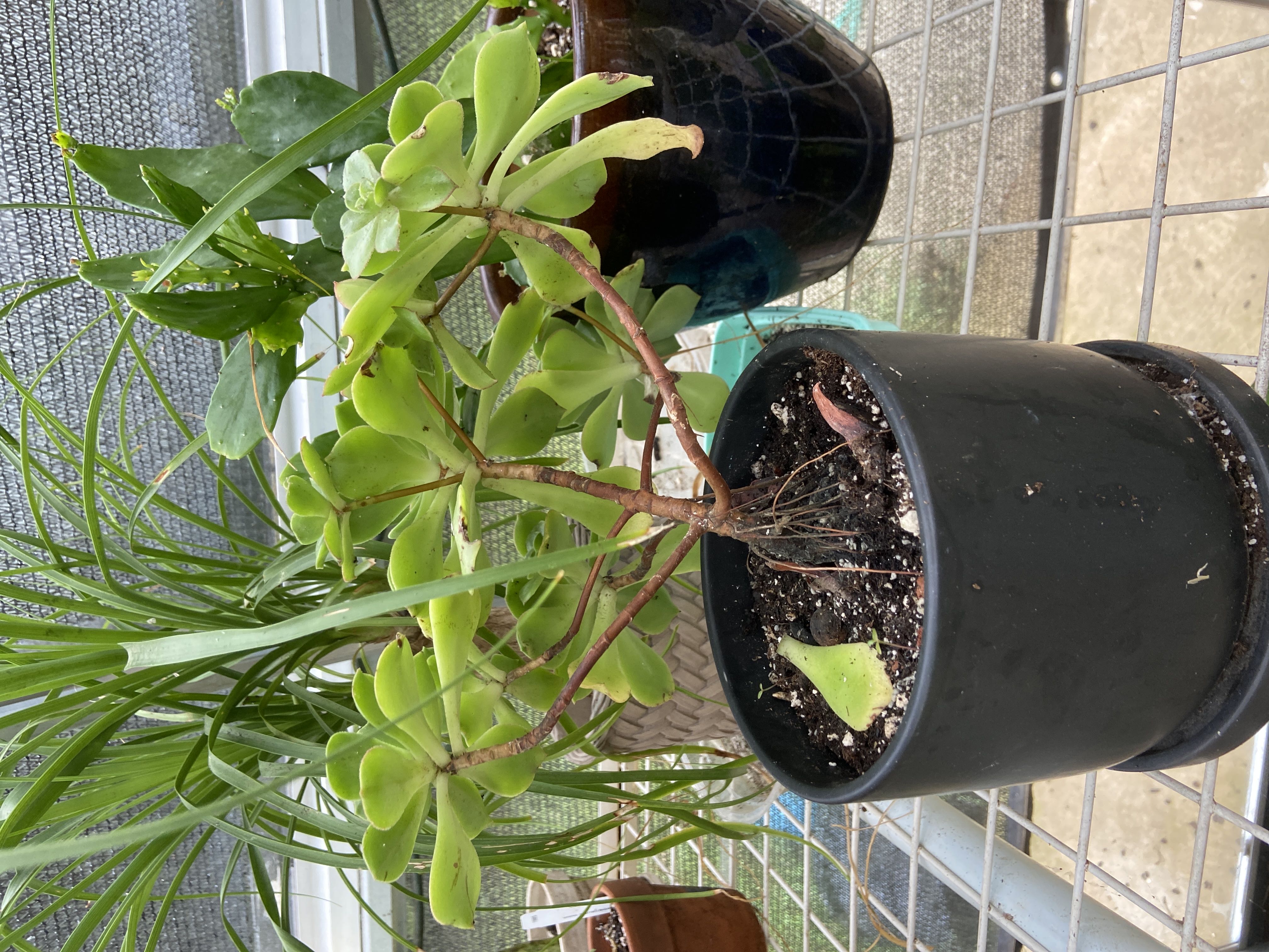 Photo from the post