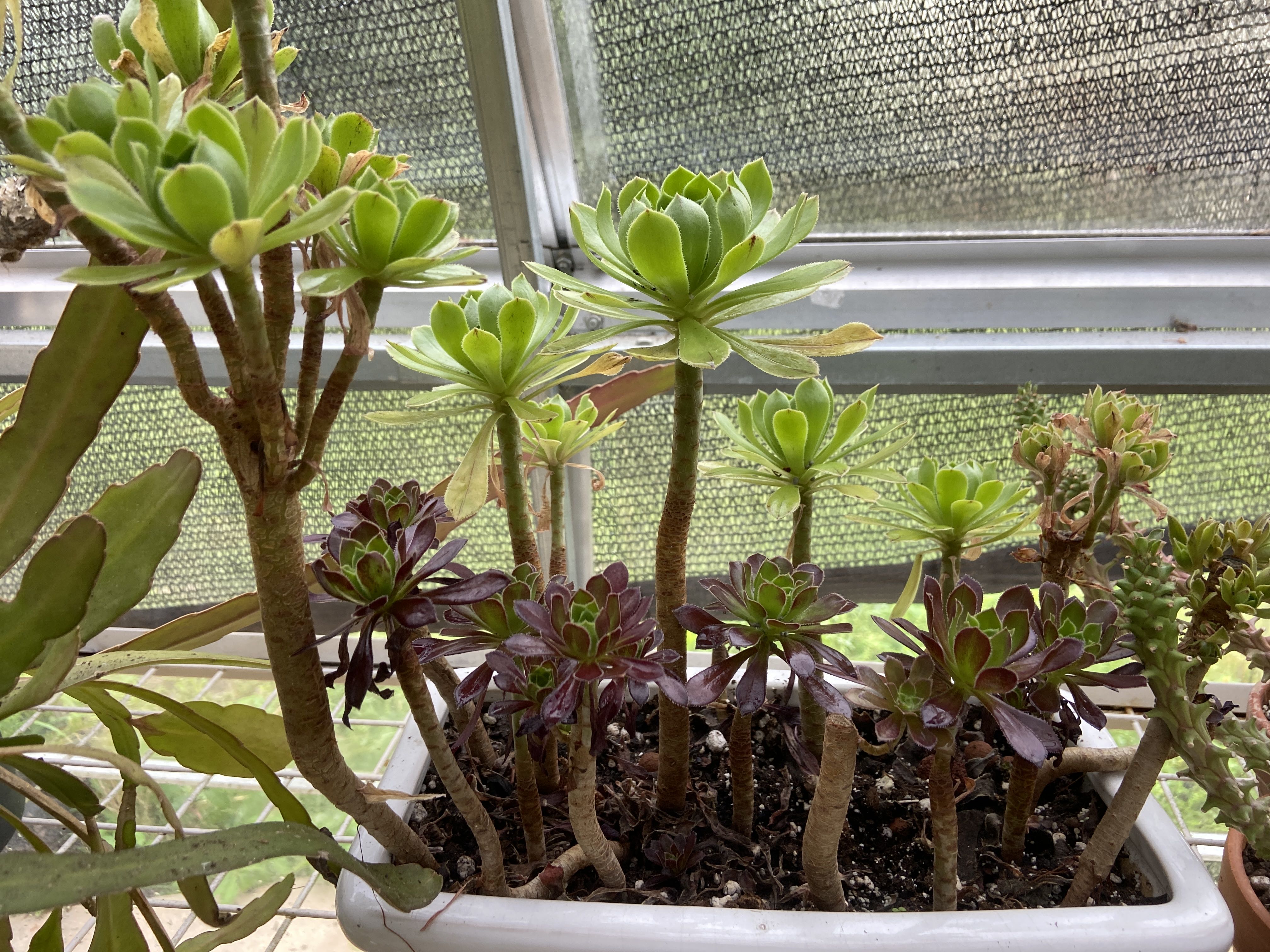 Photo from the post