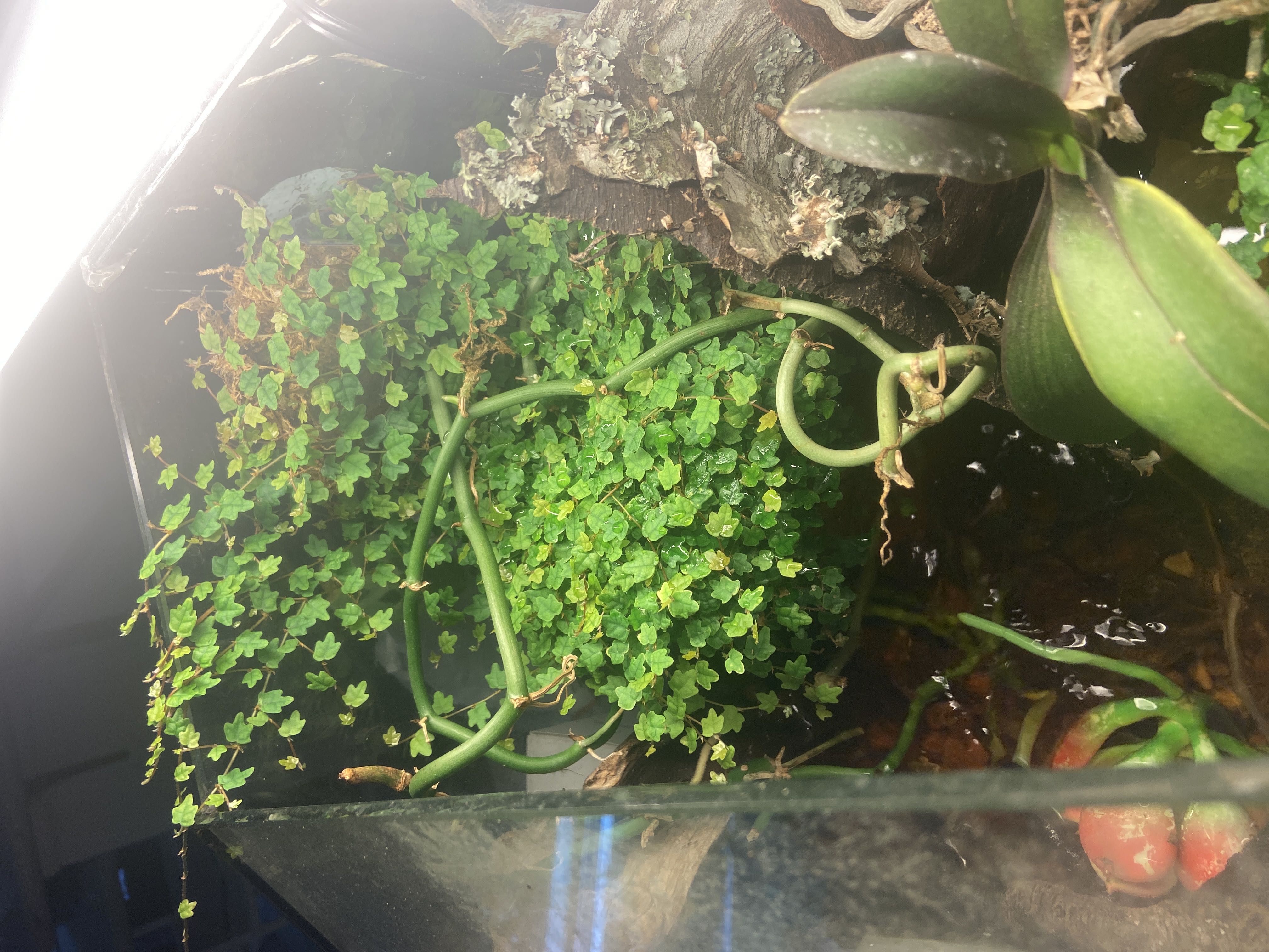 Photo from the post