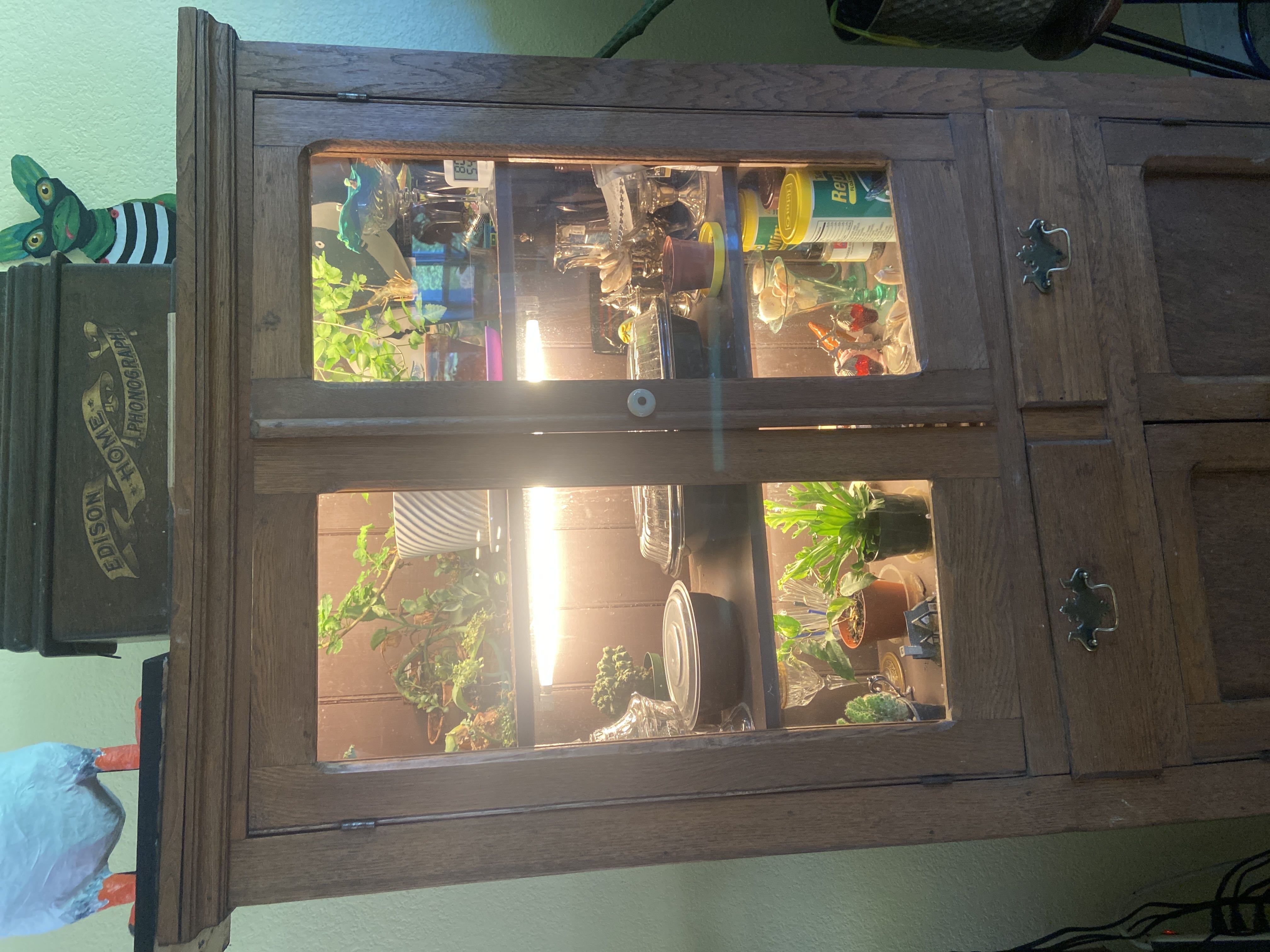 Photo from the post