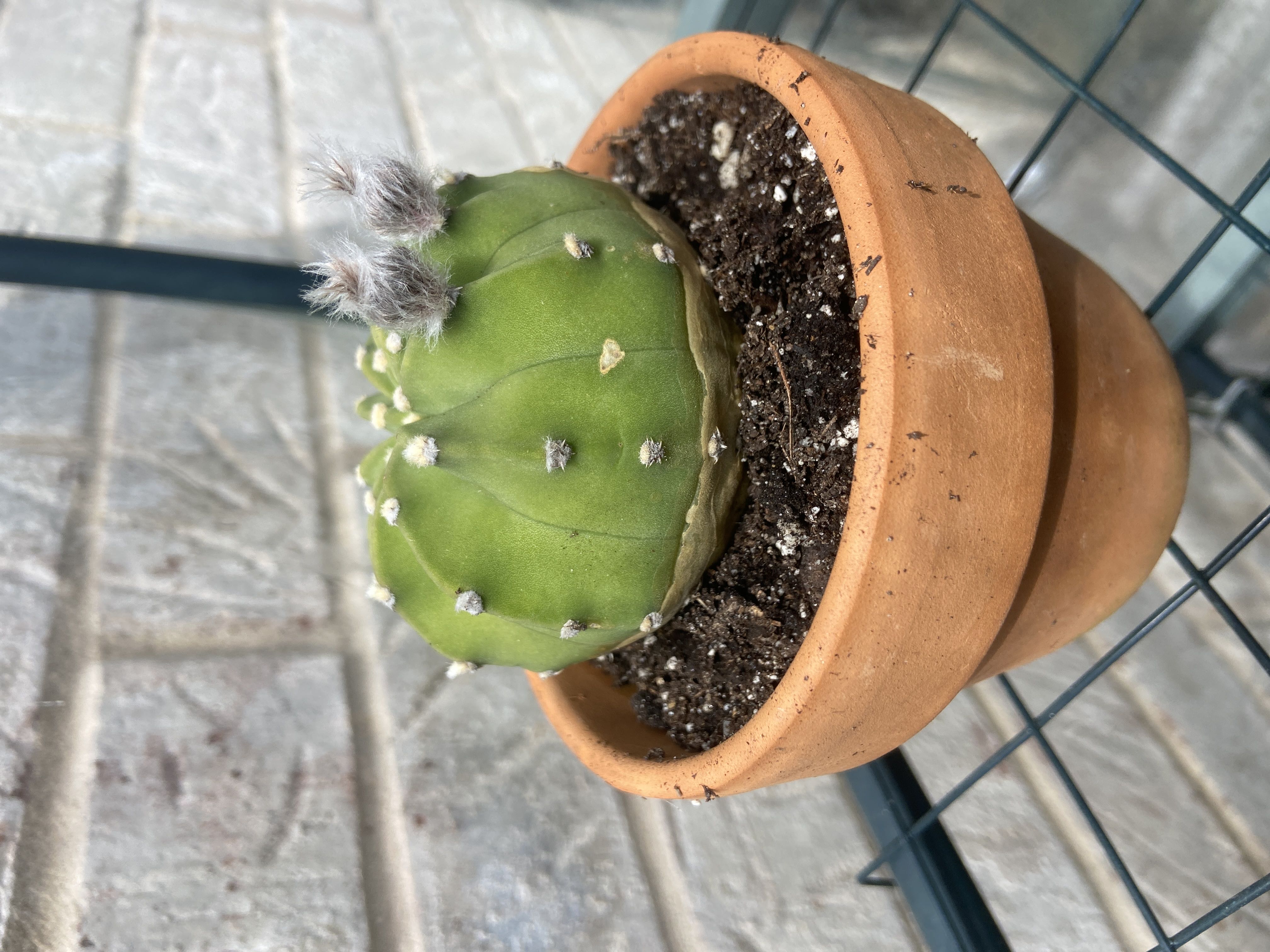 Photo from the post