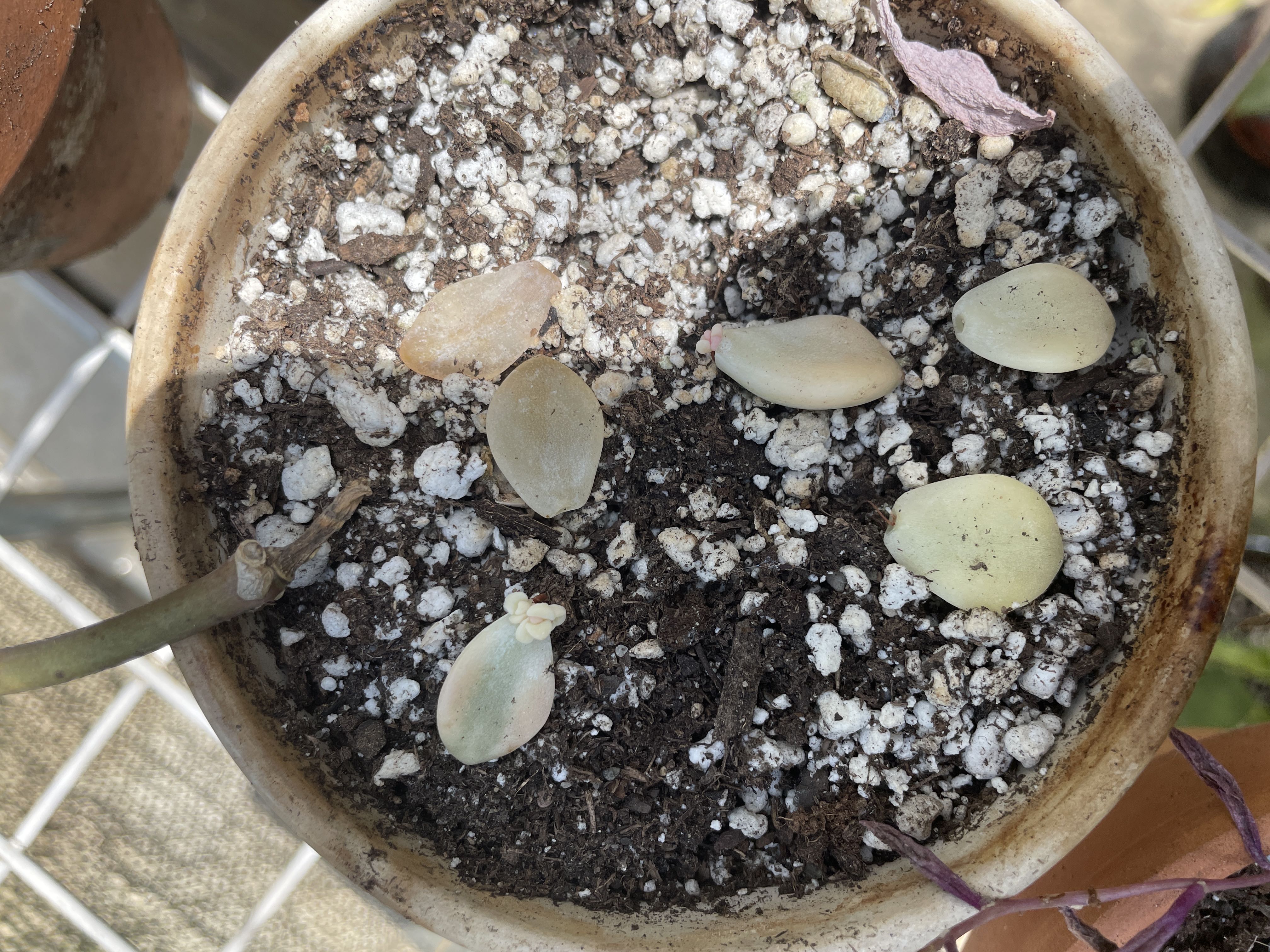 Photo from the post