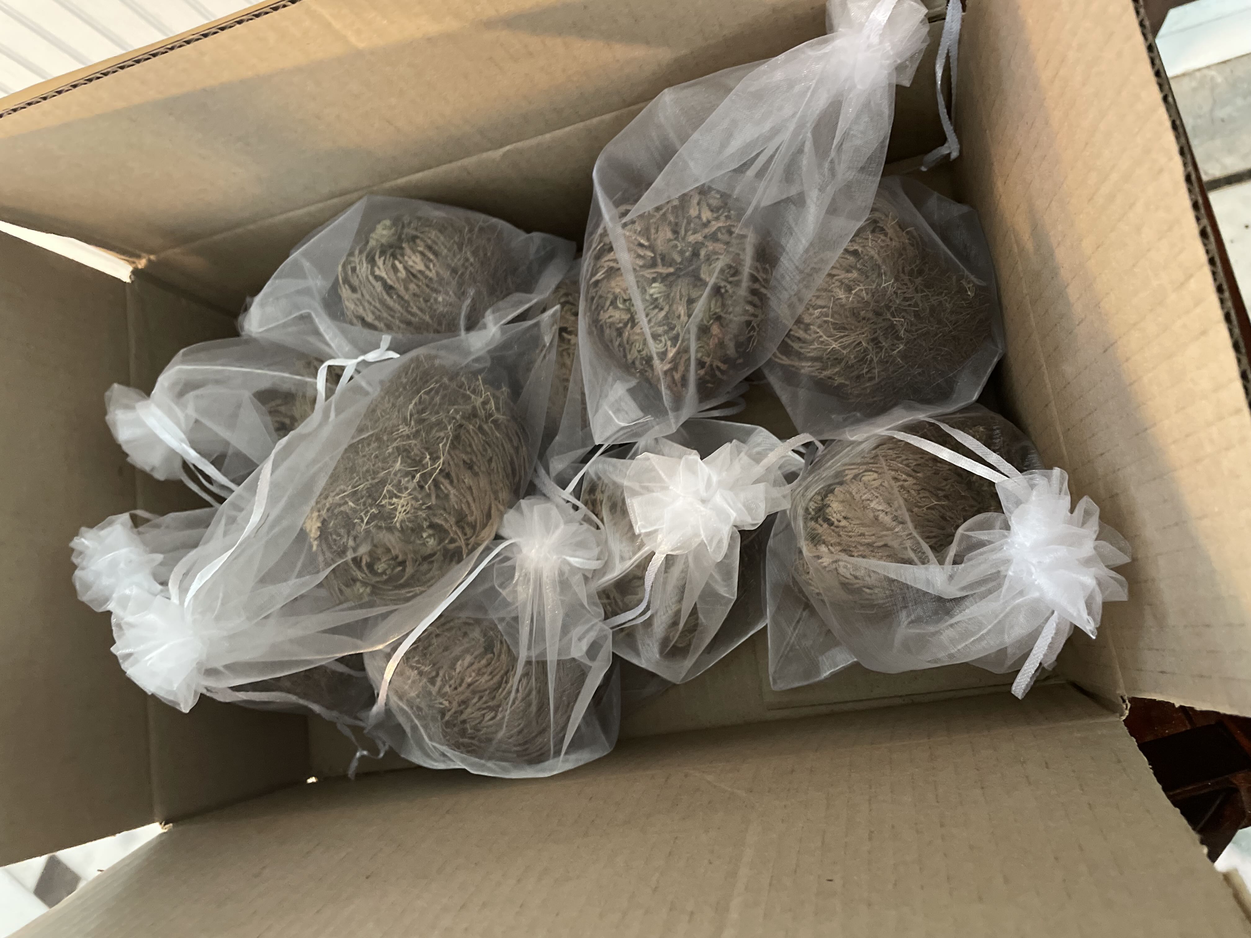 Photo from the post