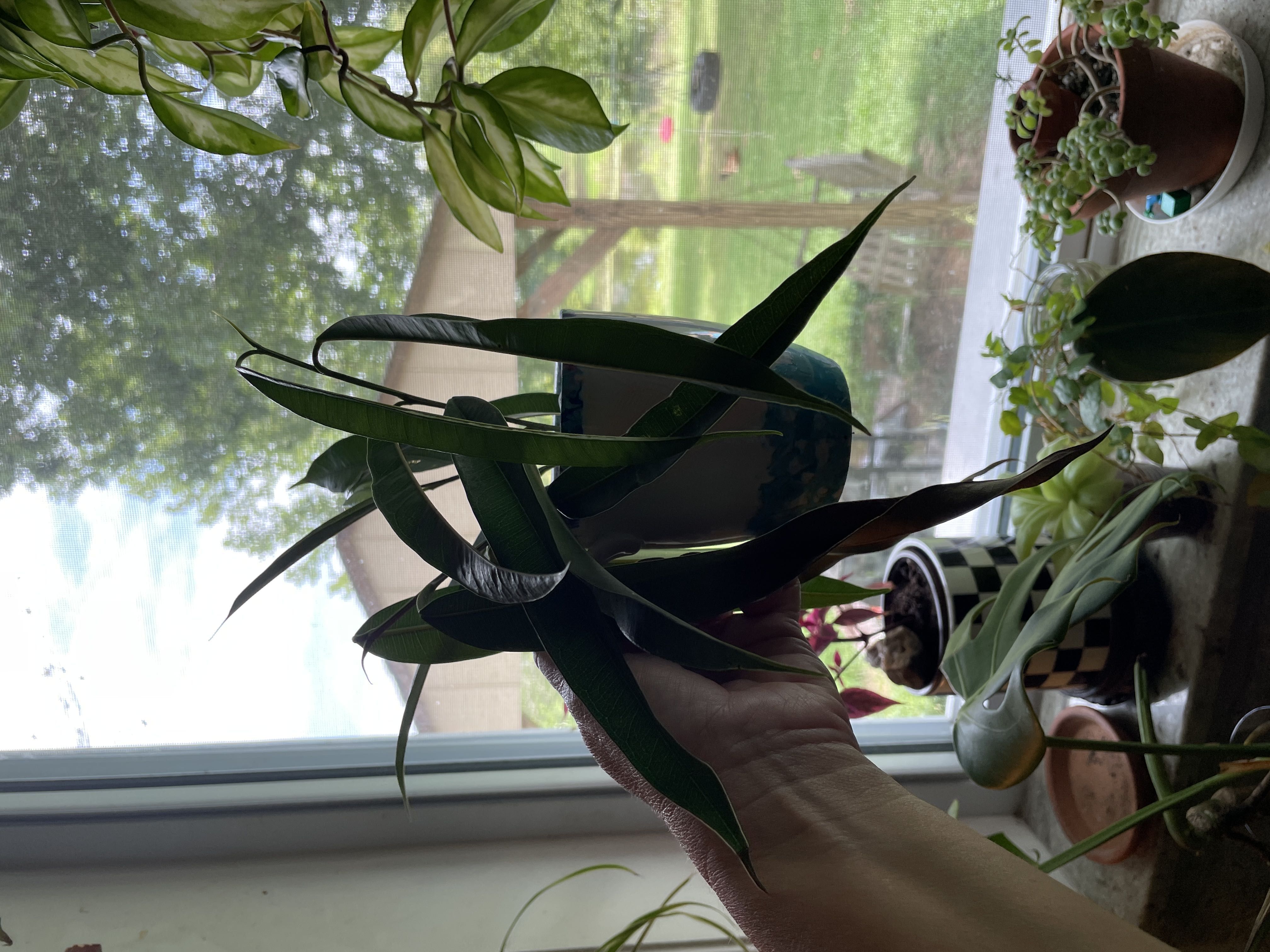 Photo from the post