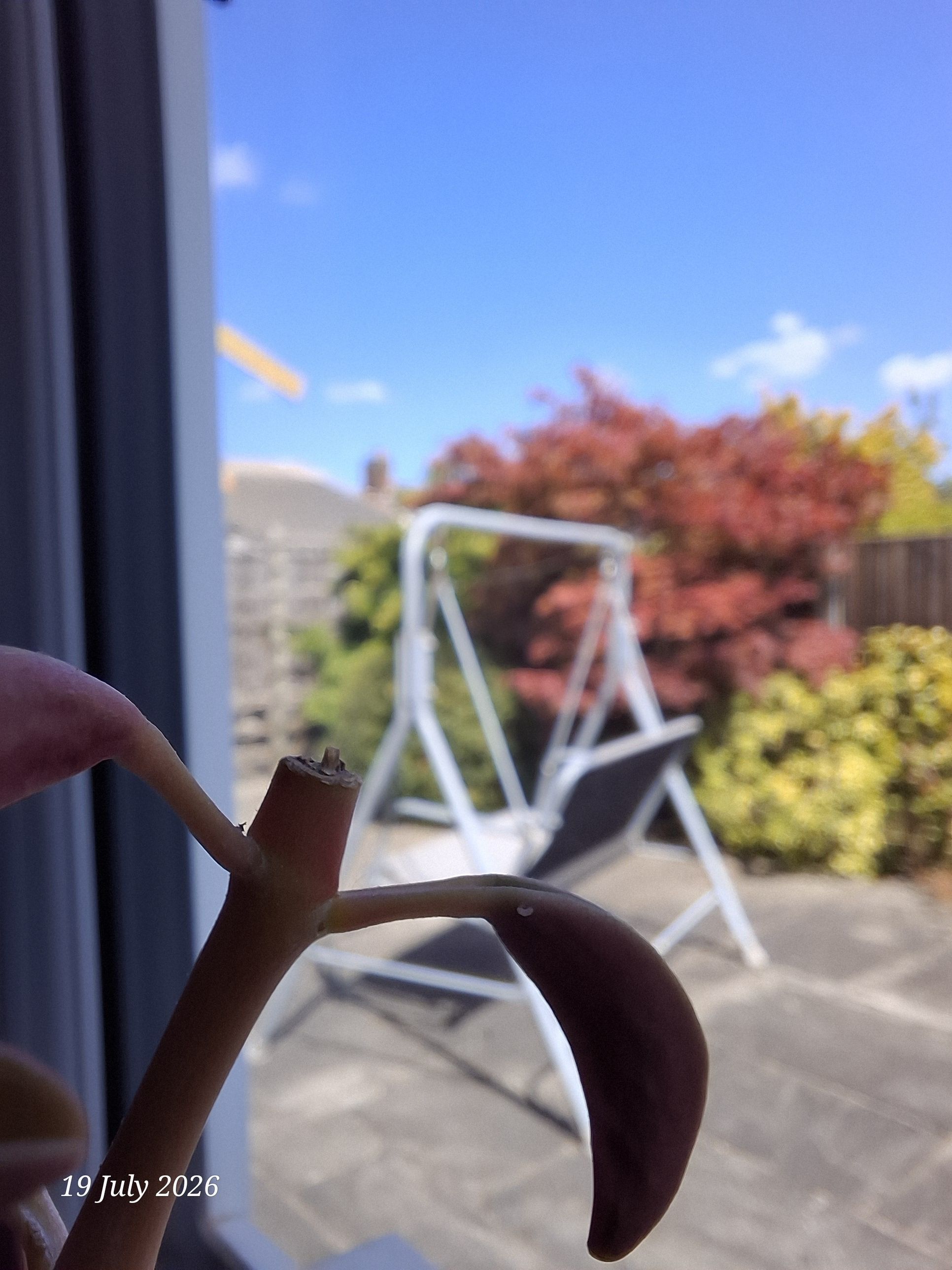 Photo from the post