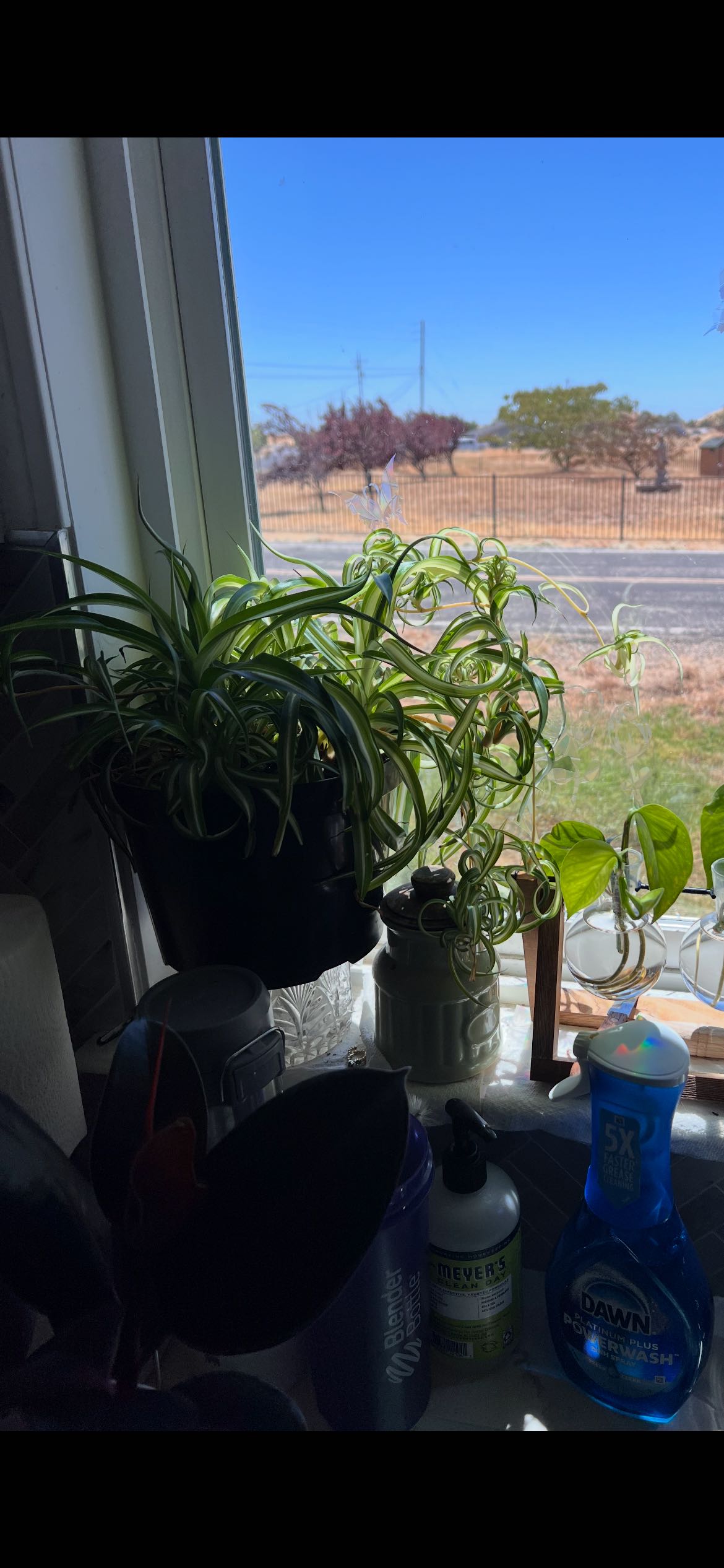 Photo from the post