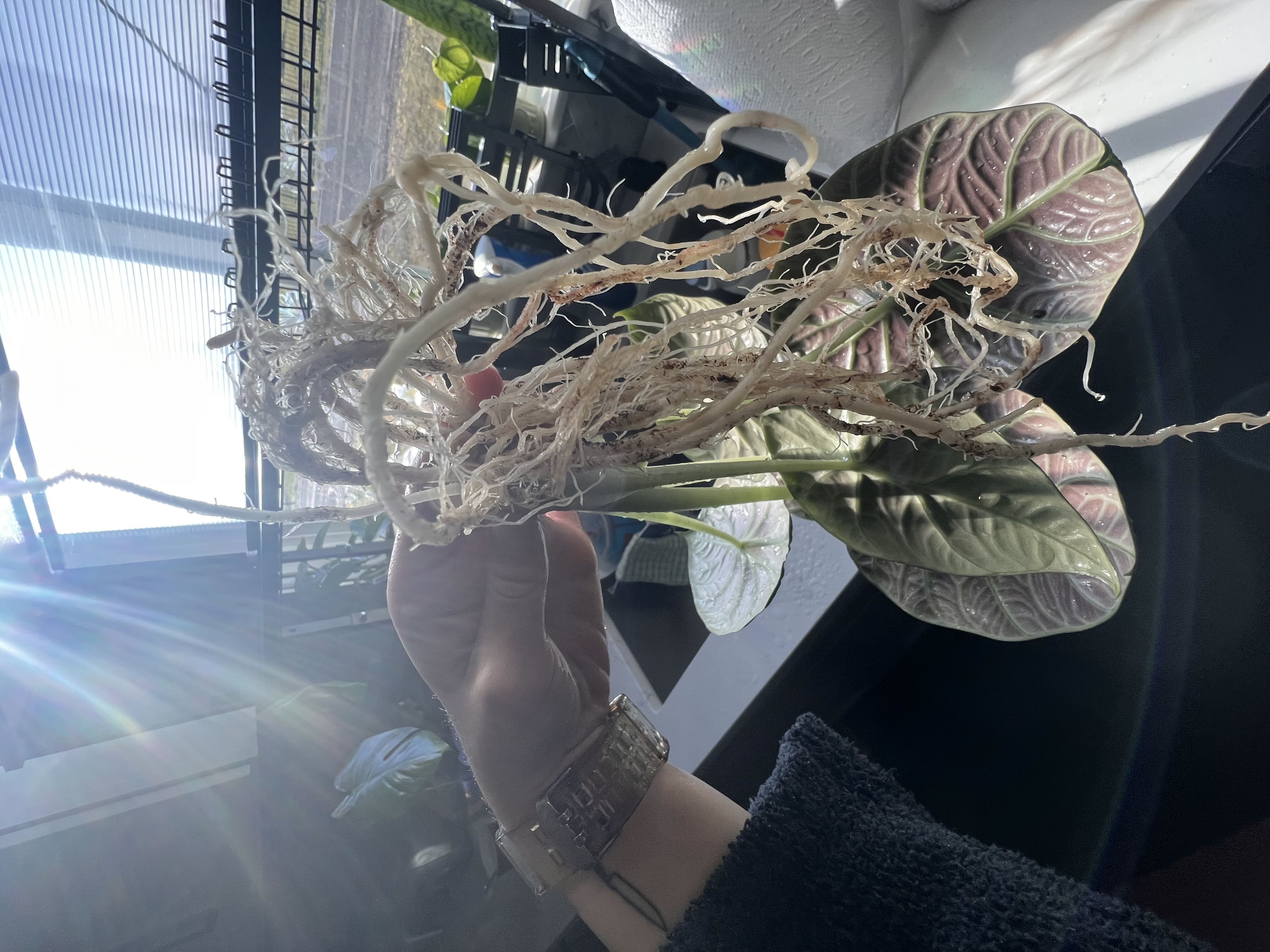 Photo from the post