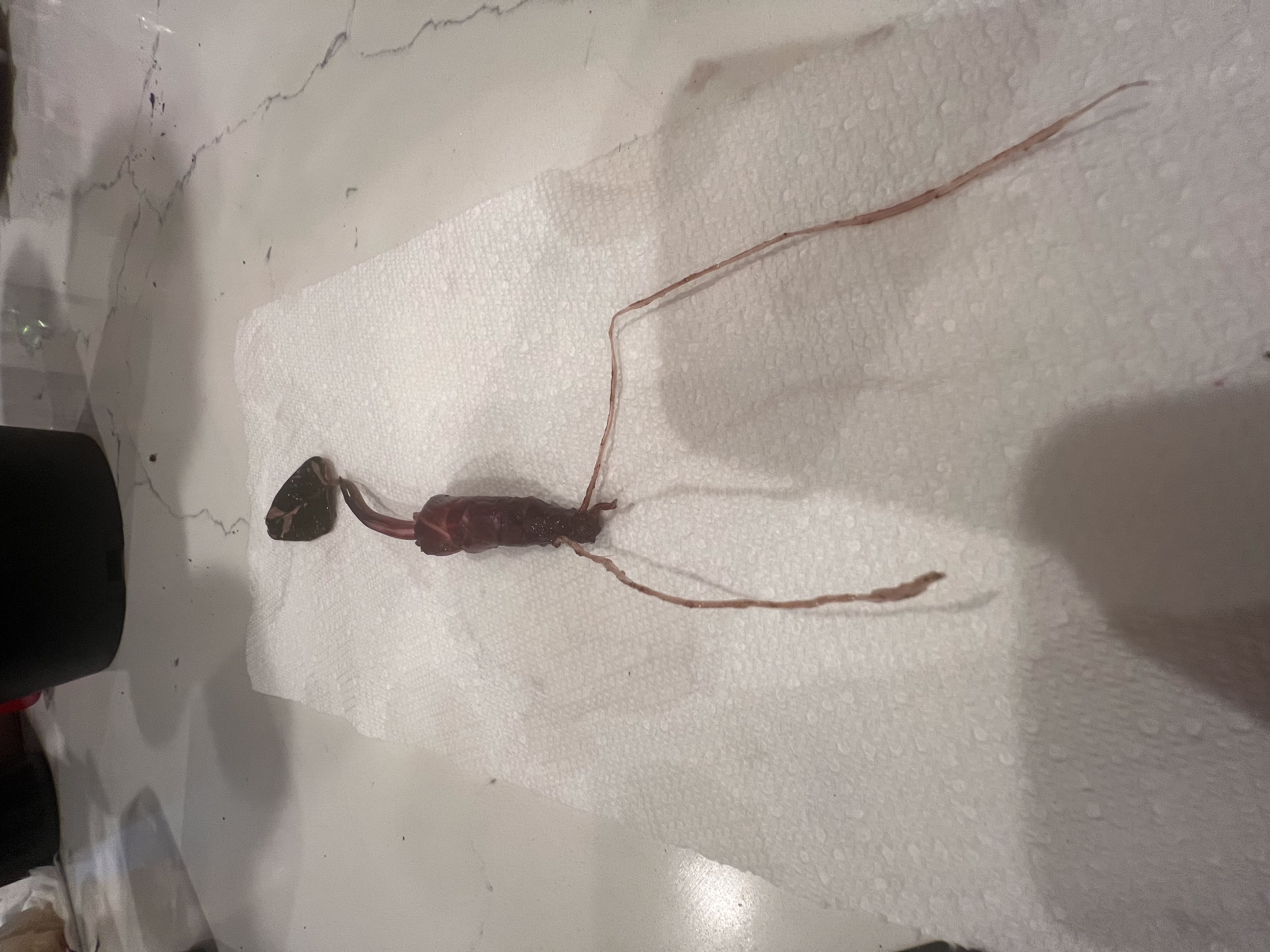 Photo from the post