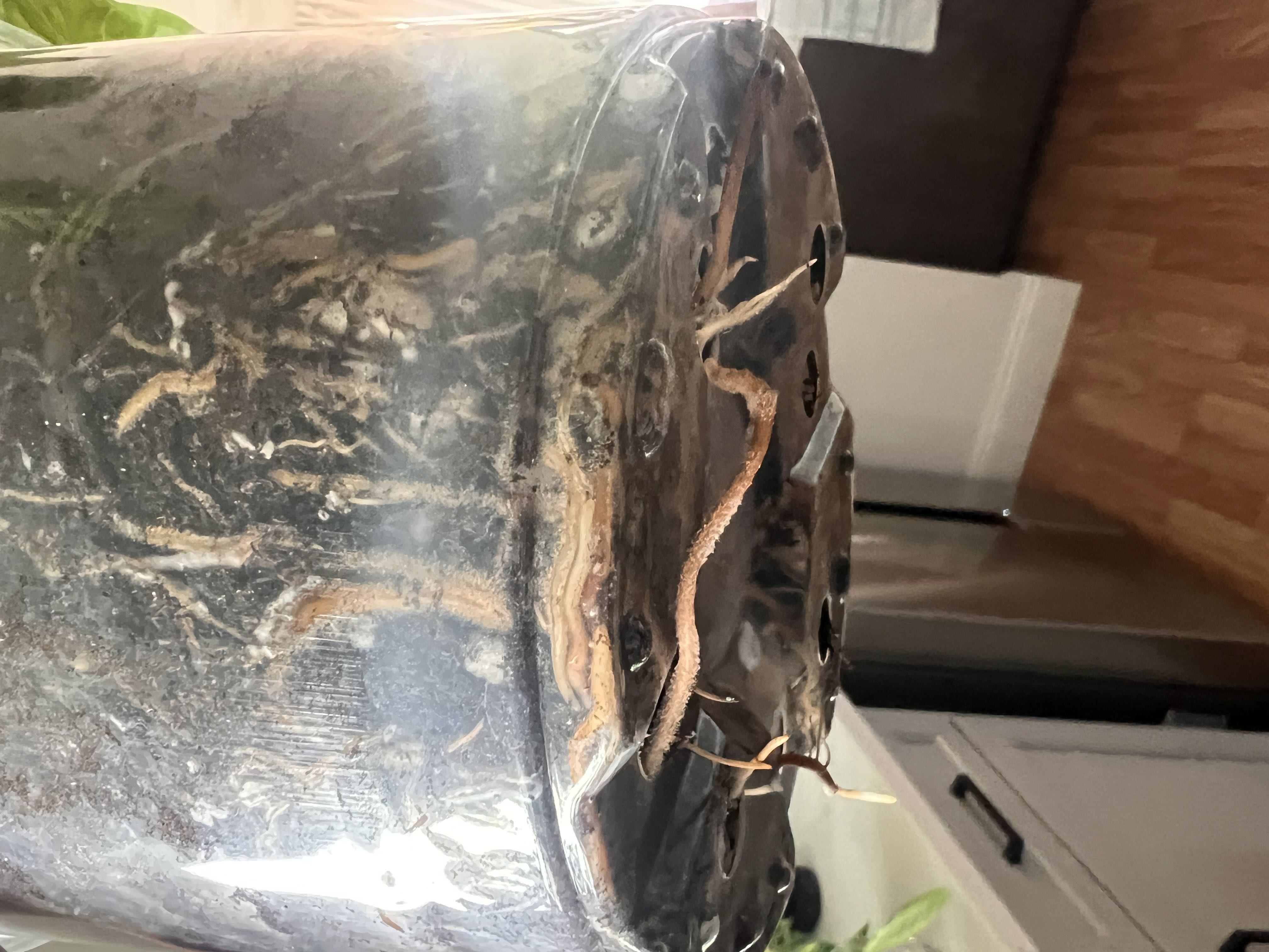 Photo from the post
