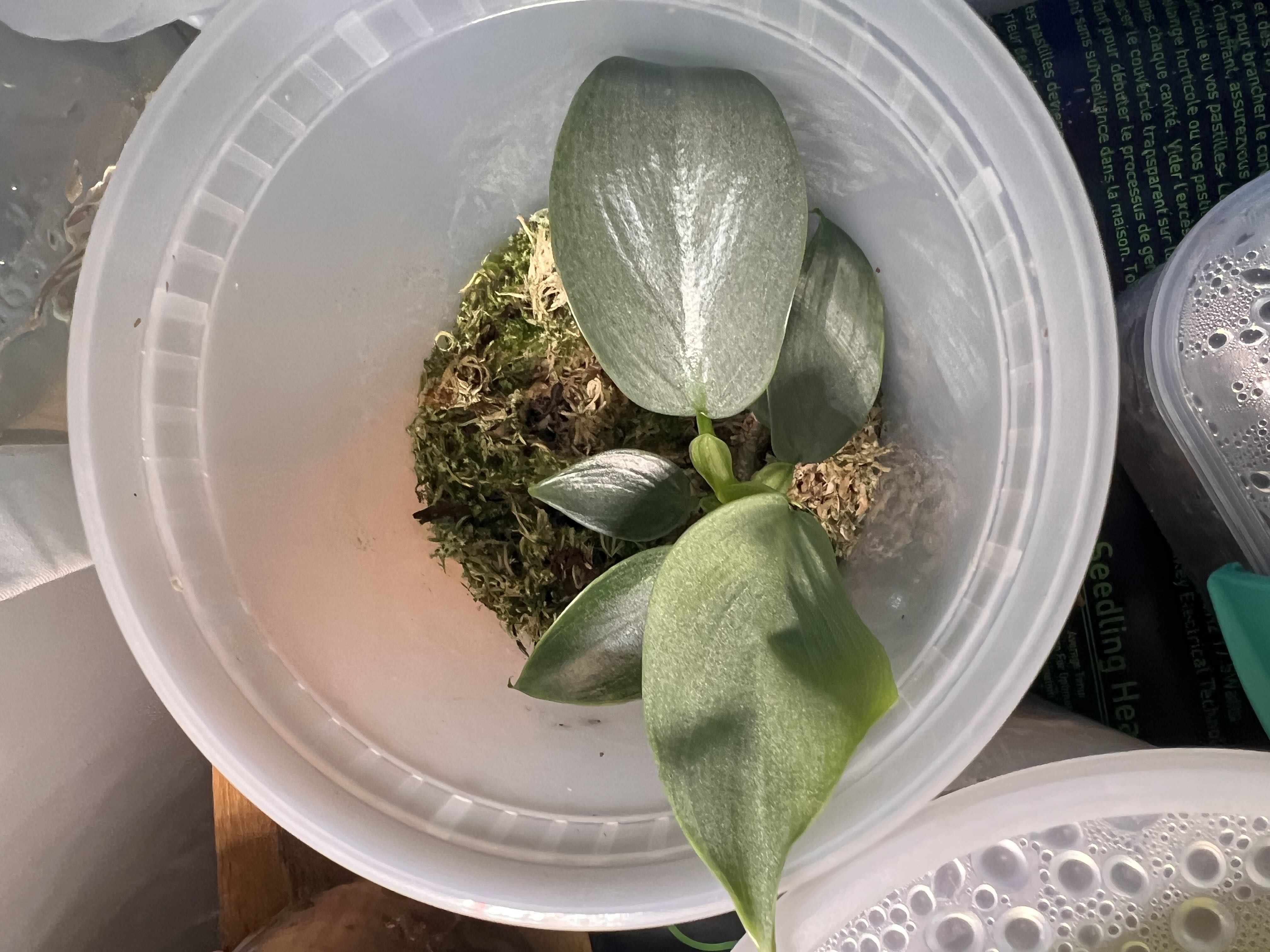 Photo from the post