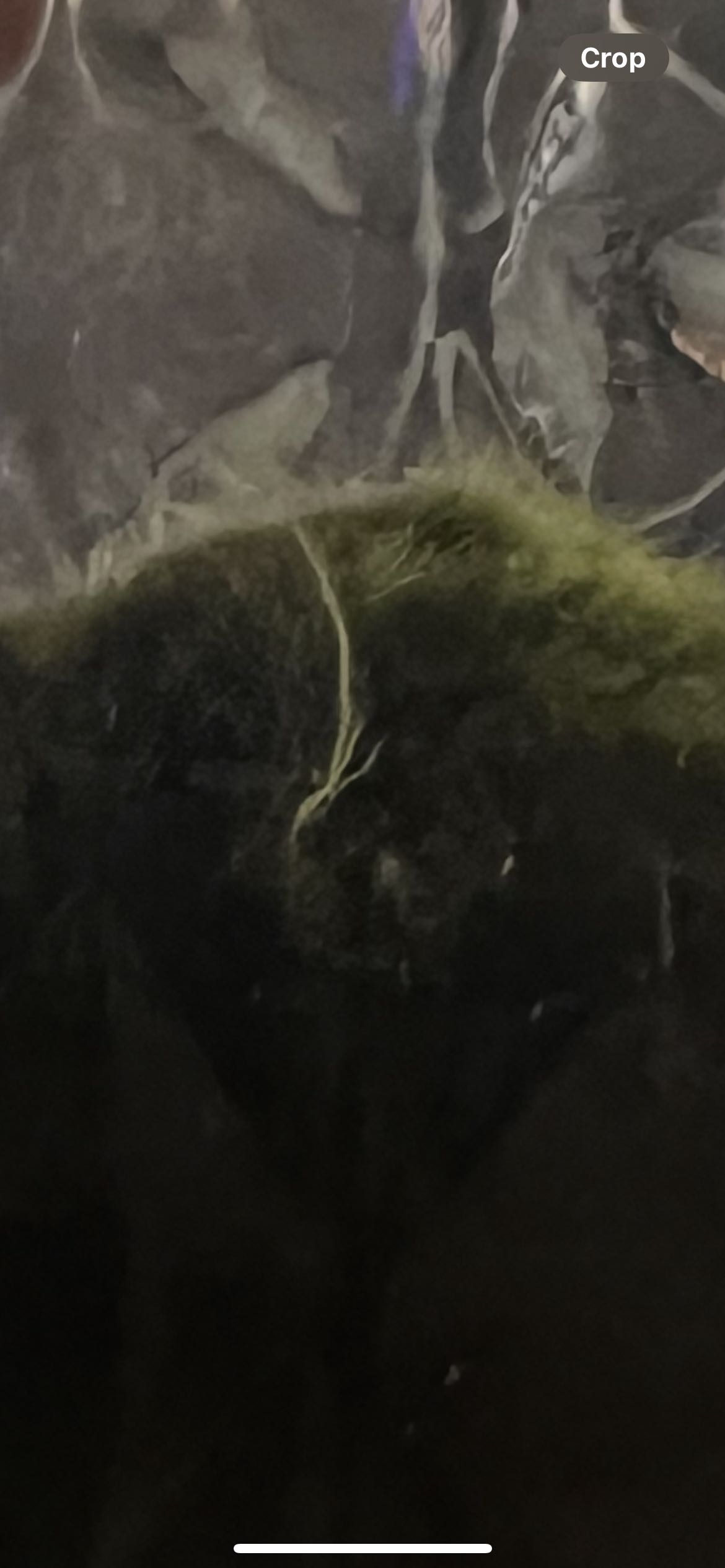 Photo from the post