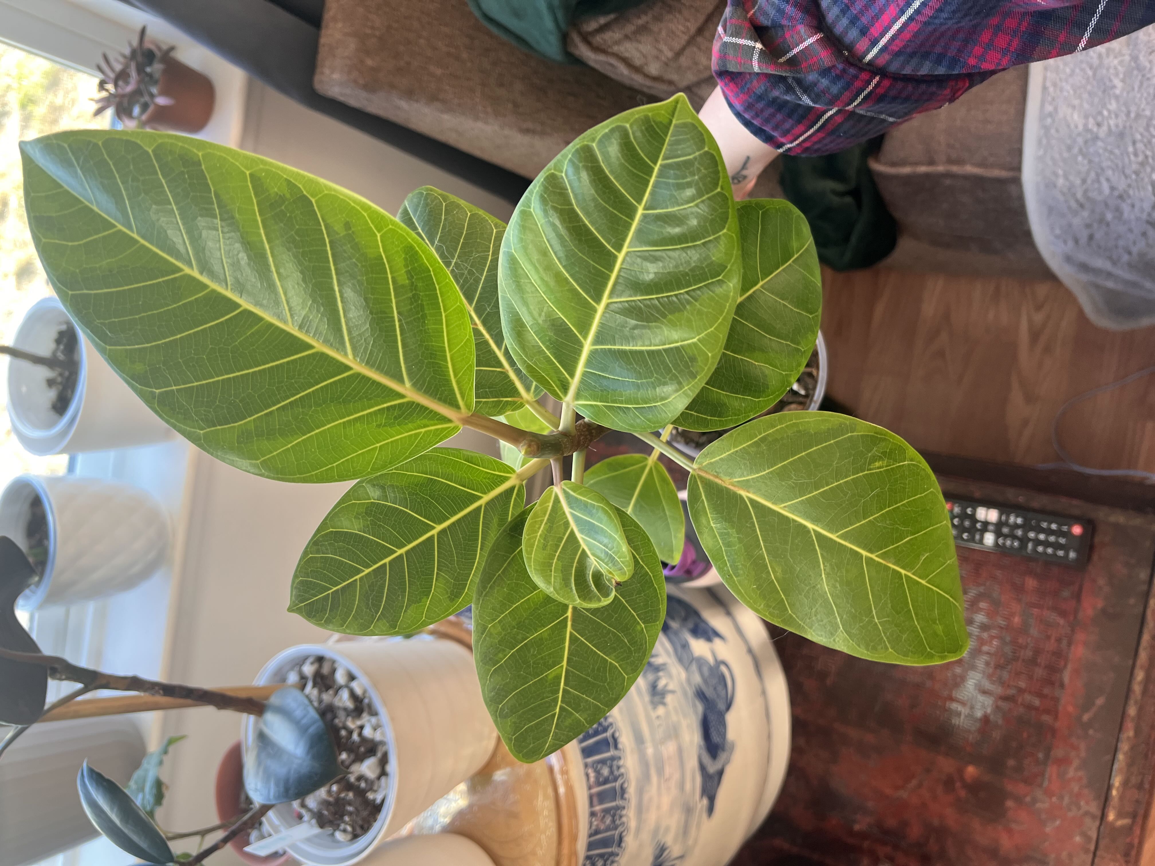 Photo from the post