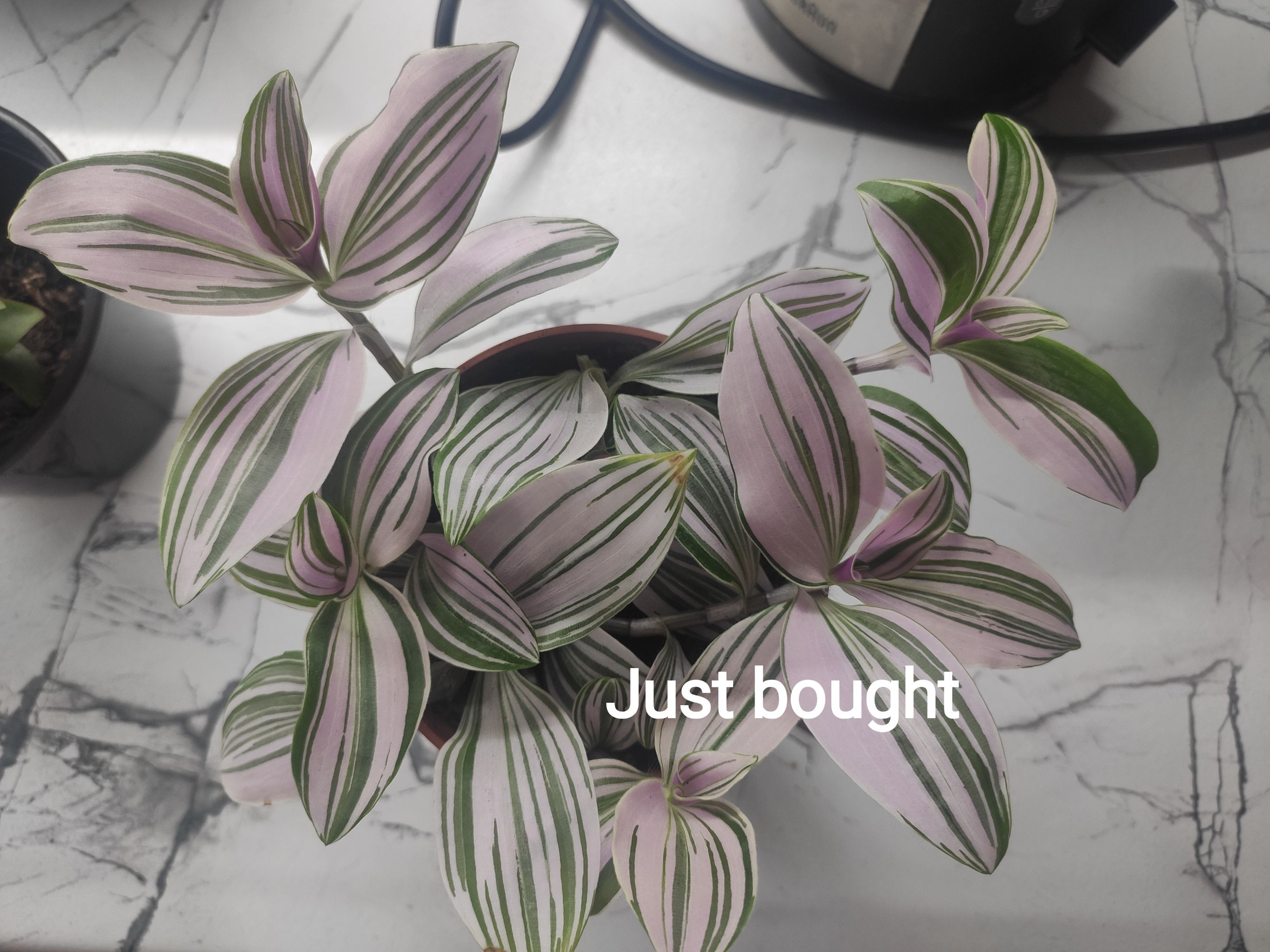 Photo from the post