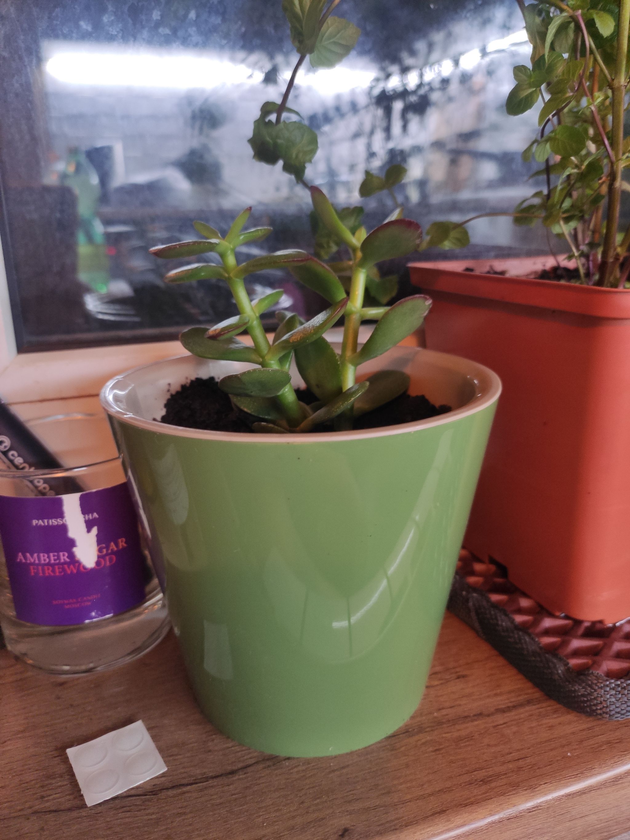 Photo from the post