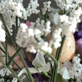 Photo of the plant species Snowdrop by @VipRiosambarose named Naomi on Greg, the plant care app