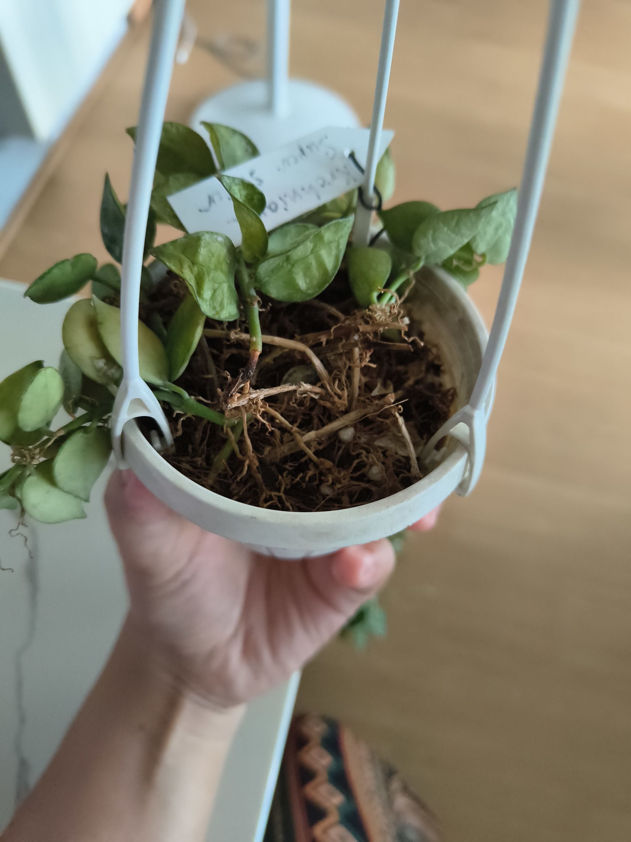 Photo from the post