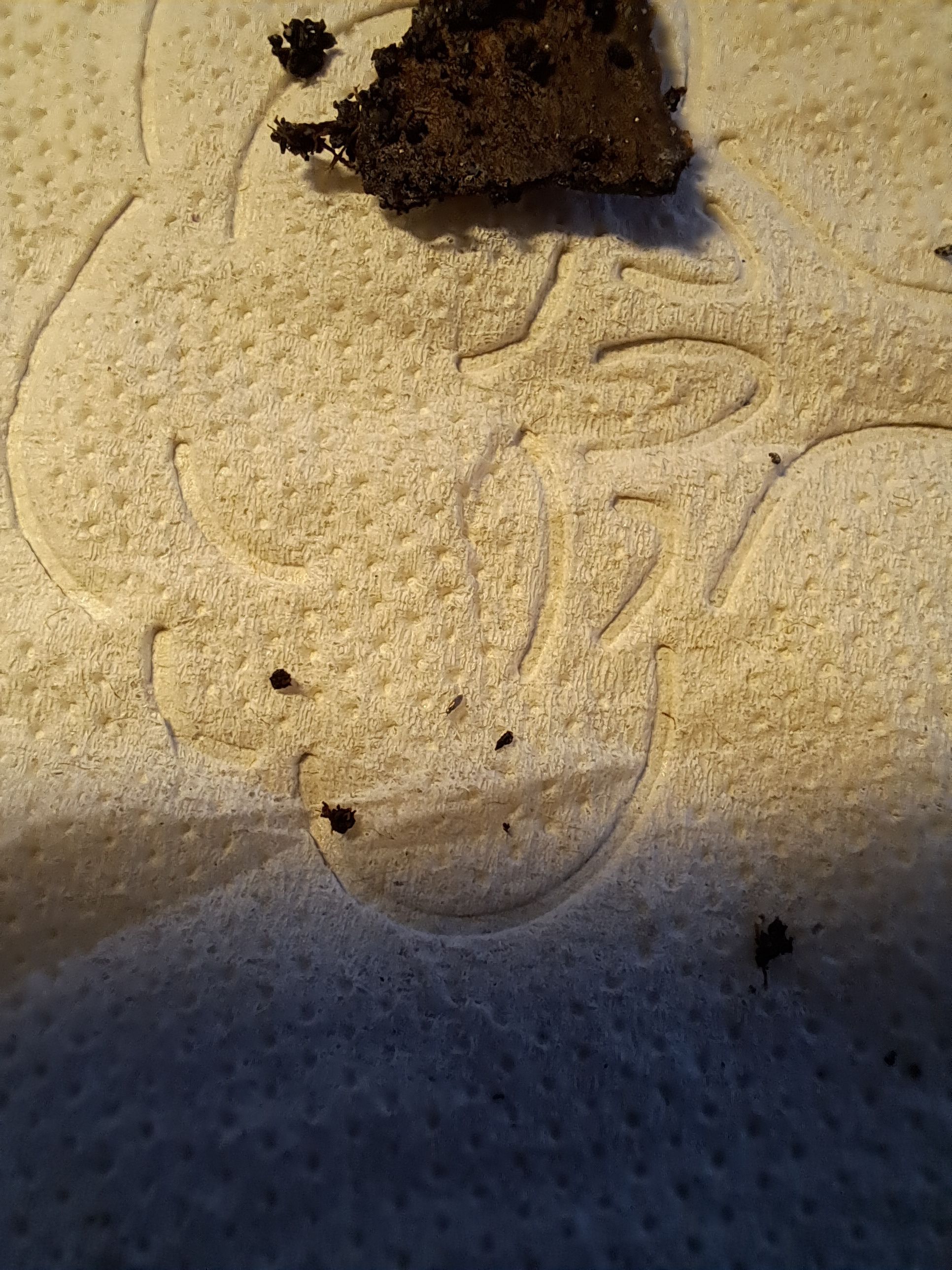 Photo from the post