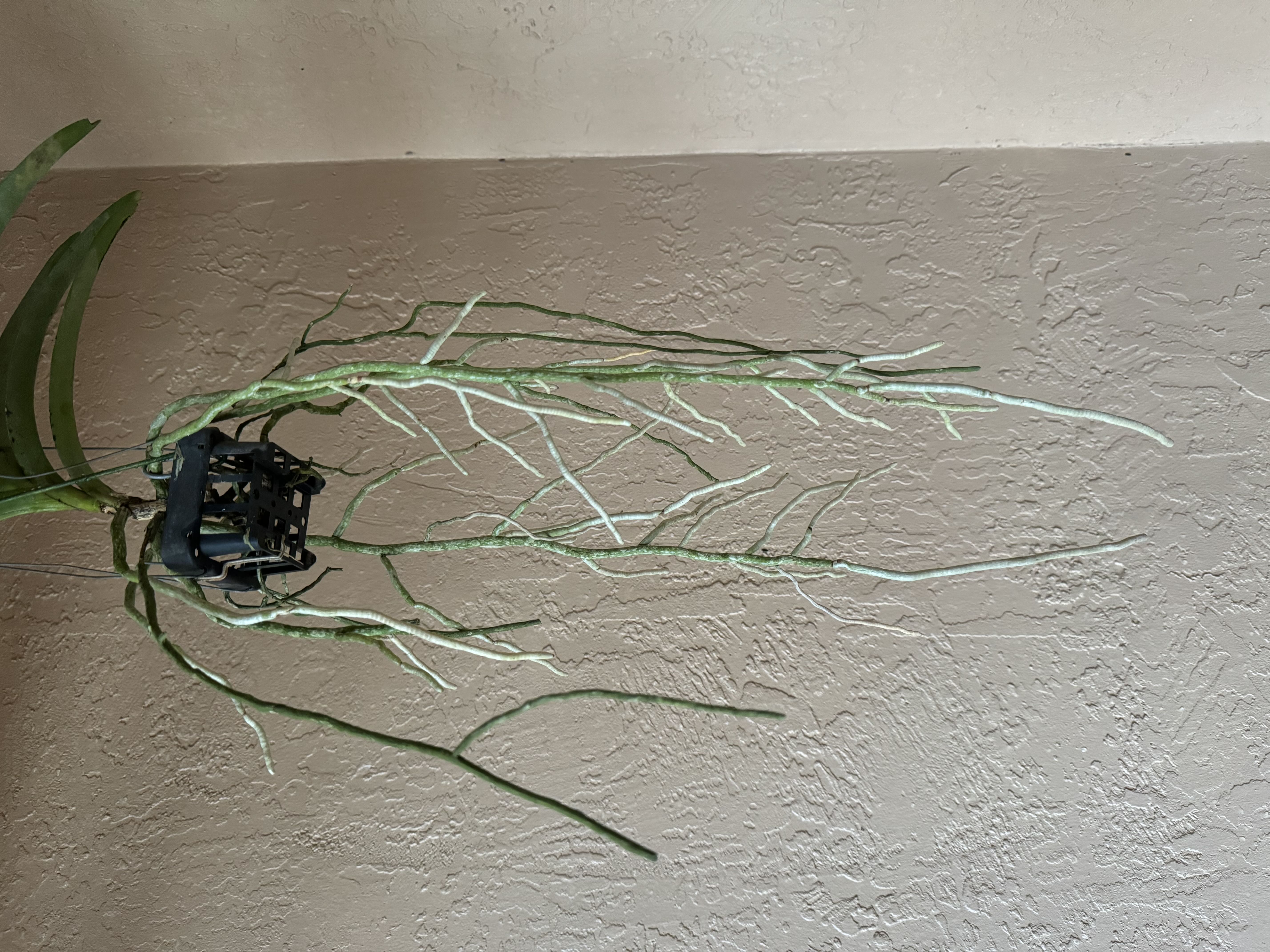 Photo from the post