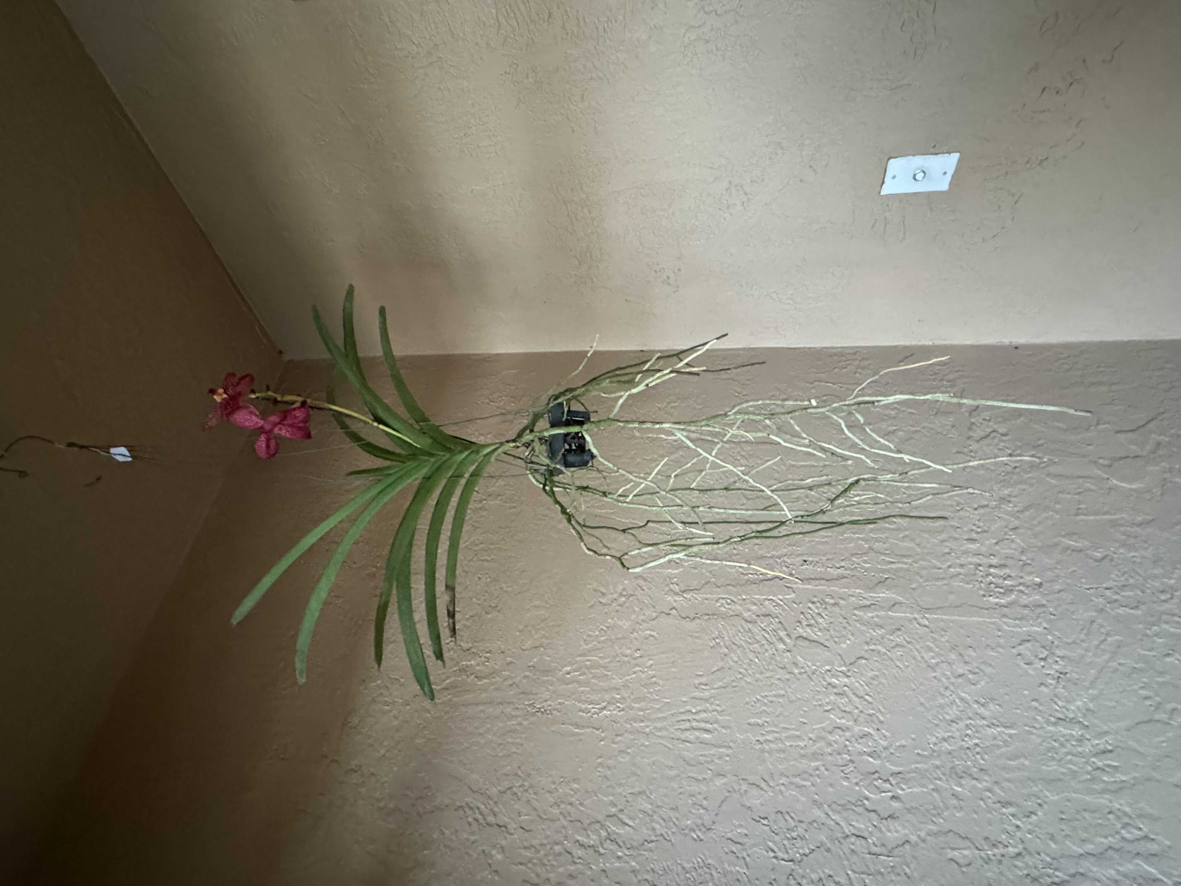 Photo from the post