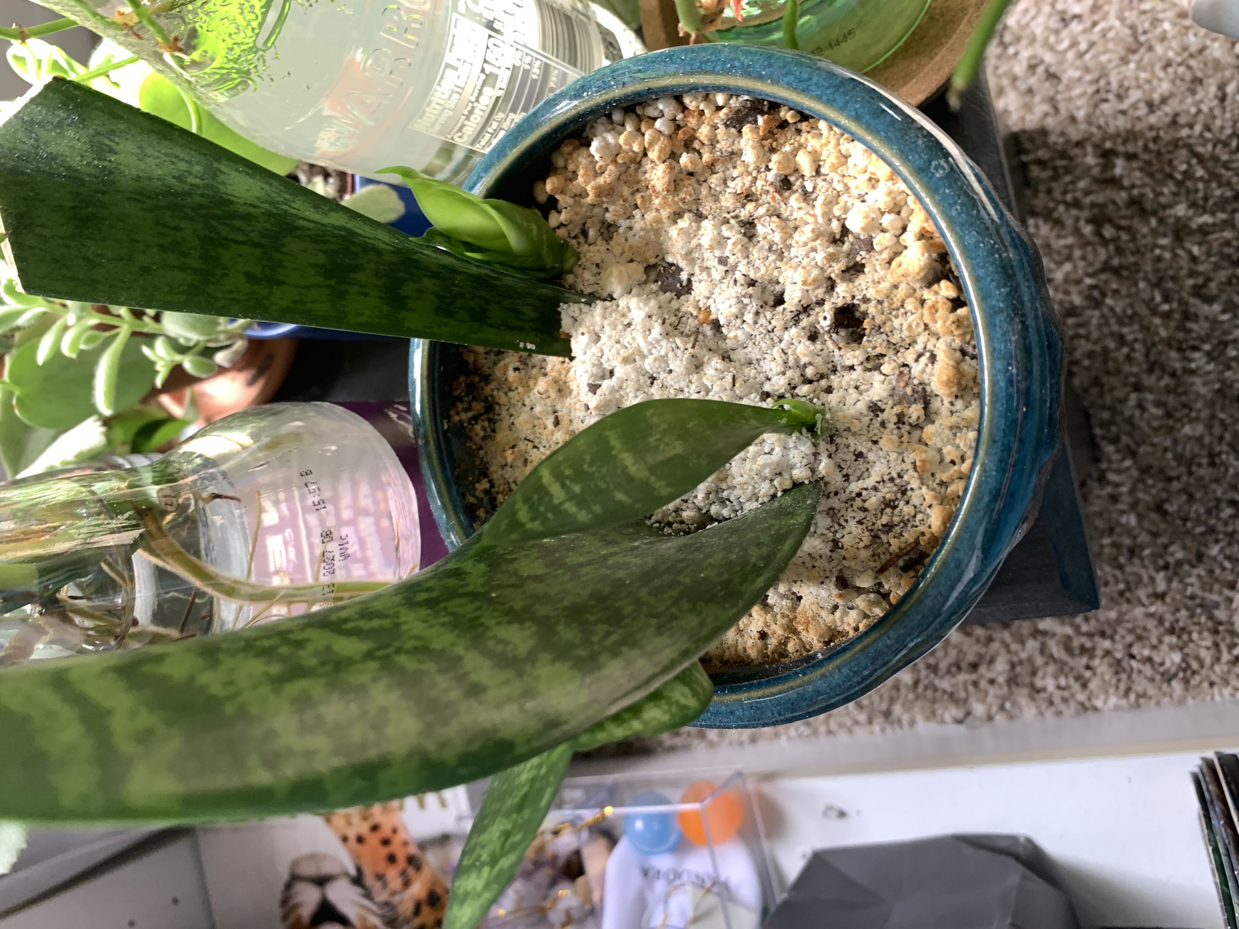 Photo from the post
