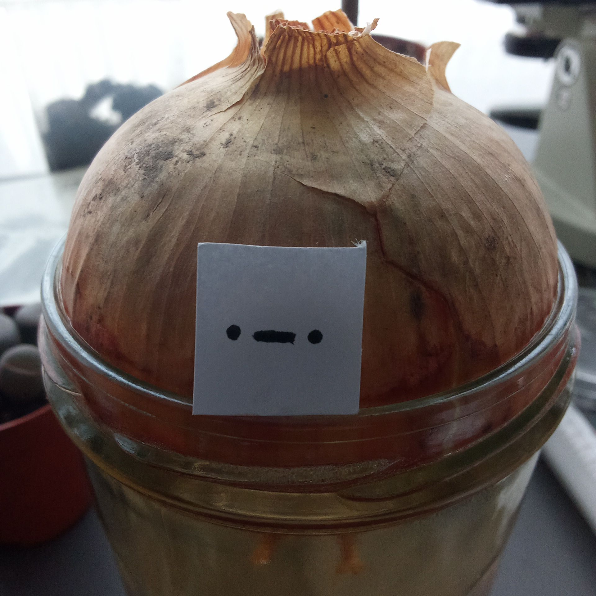 BigBulb the onion